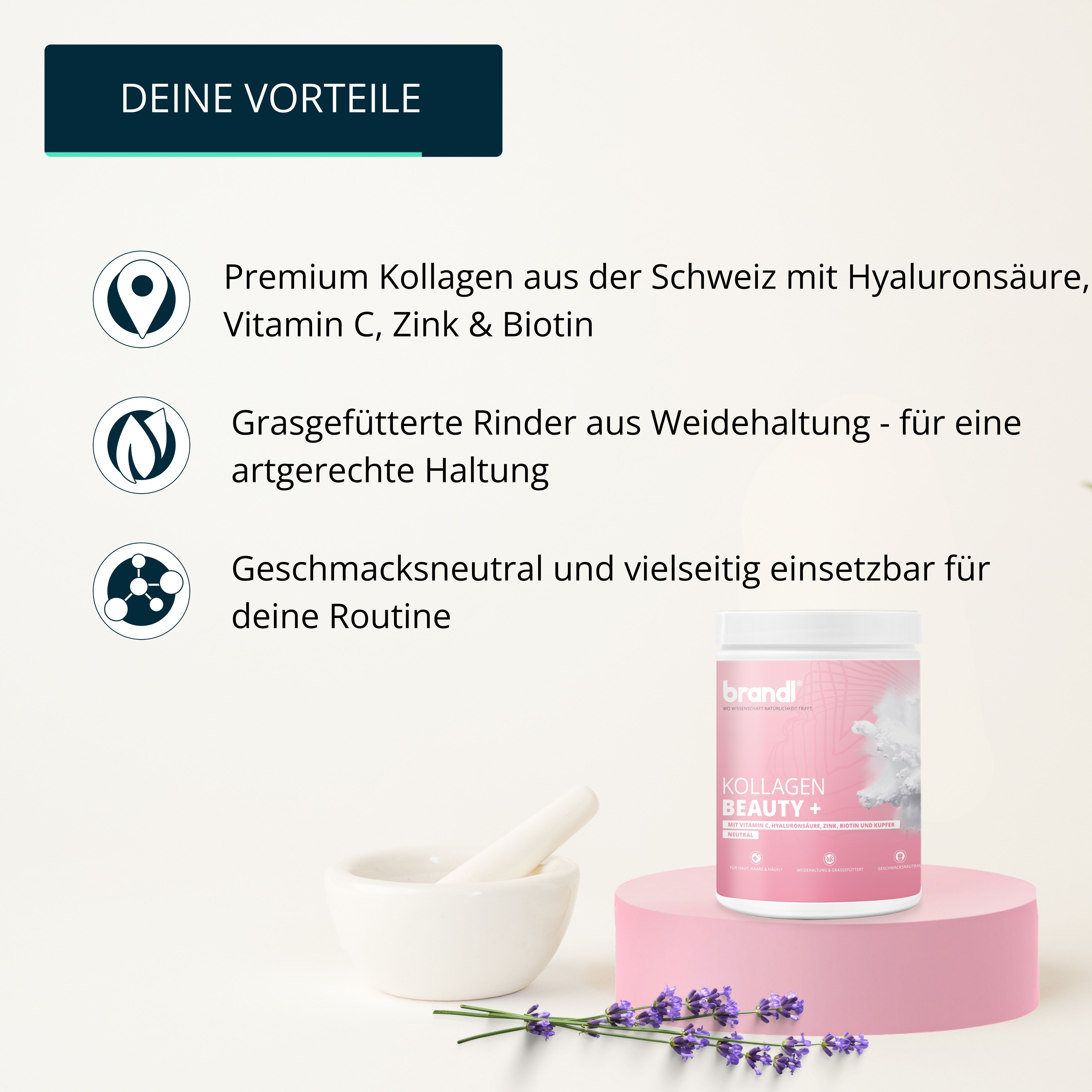 Werbung mit Text und Produkt. Text: Premium Kollagen, Hyaluronsäure, Vitamin C, Zink & Biotin. Behälter brandl® Kollagen Beauty +.