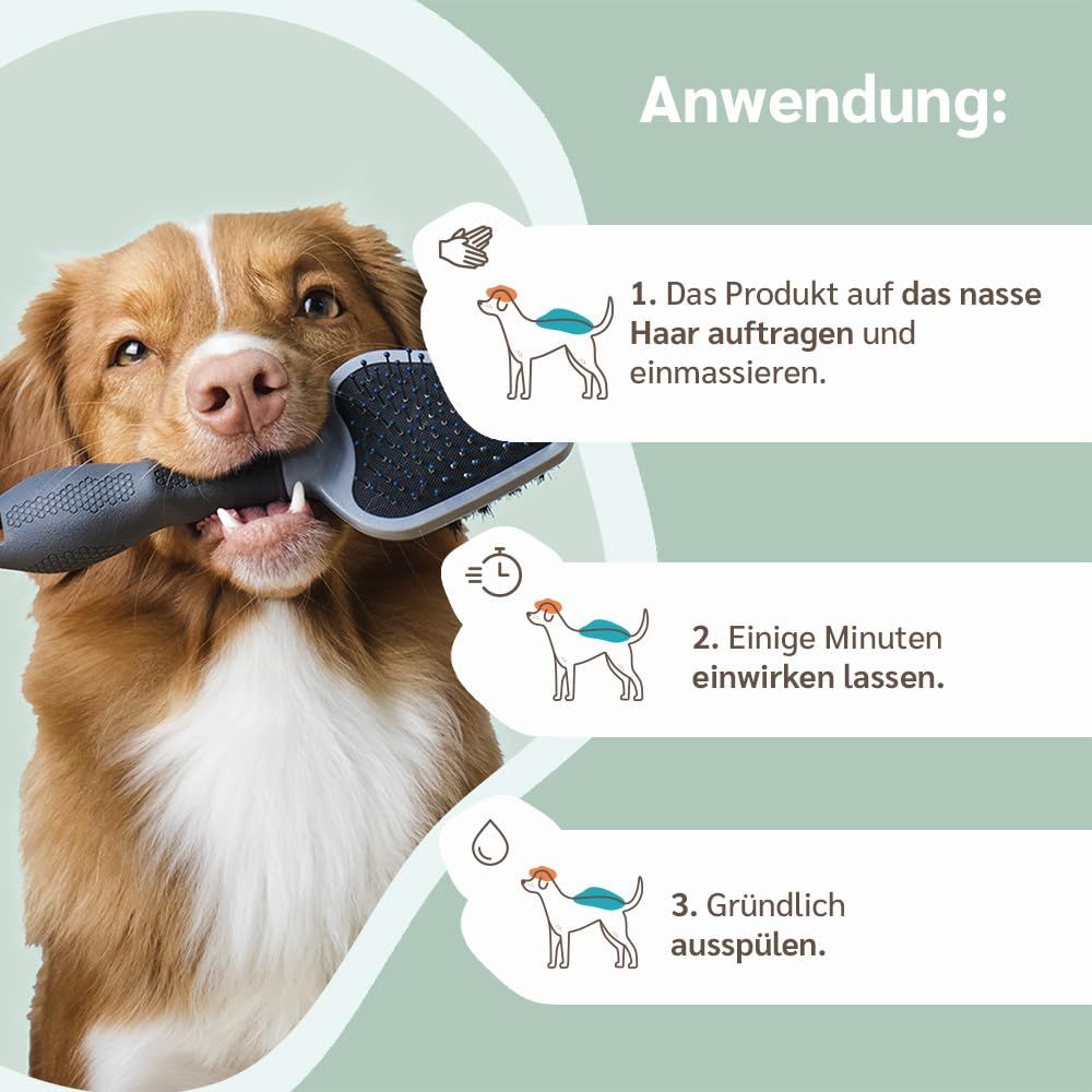 amusi Dermatitis-Hundeshampoo