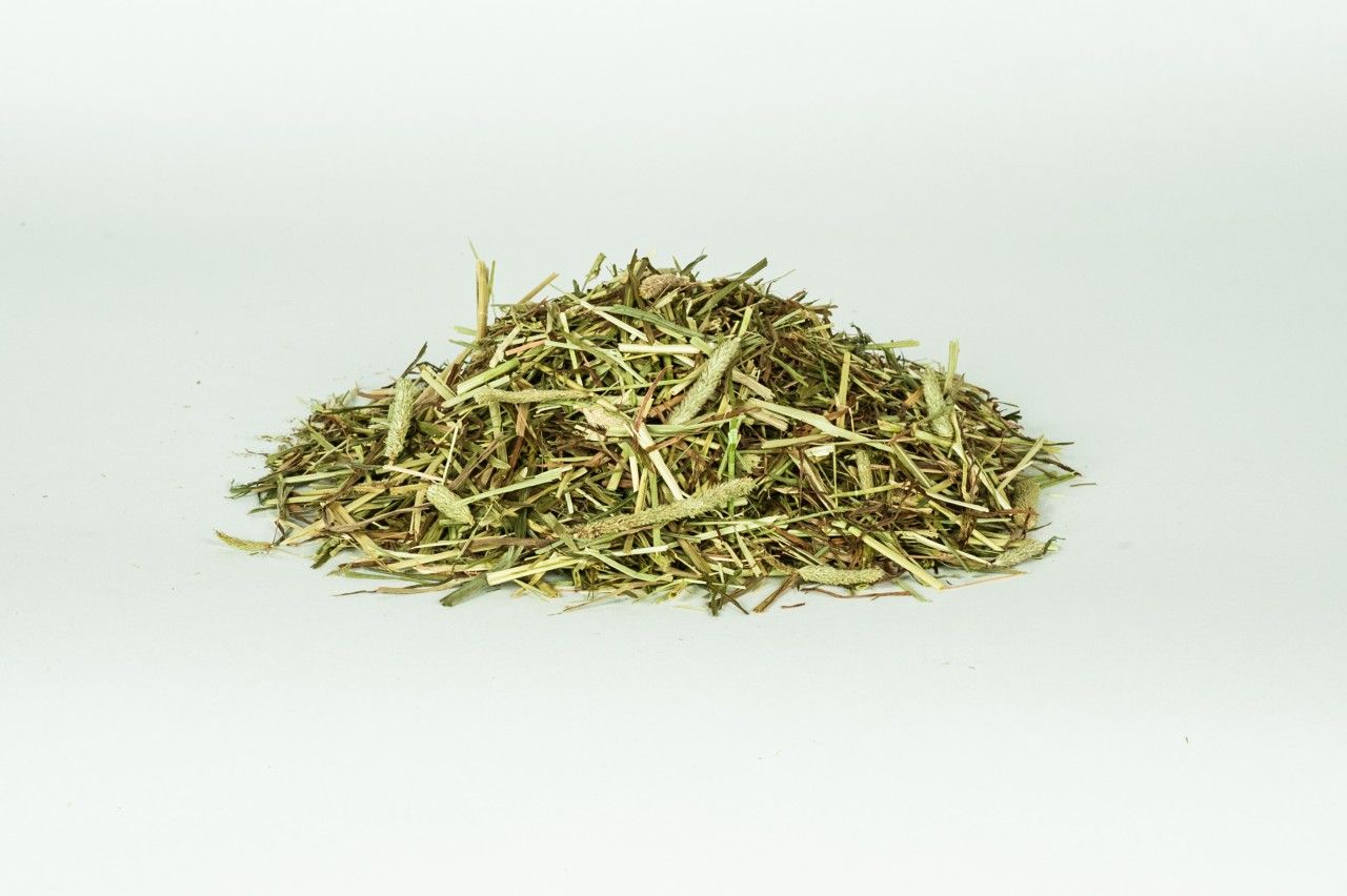 Derby Pferdefutter Timothee-Gras Pur