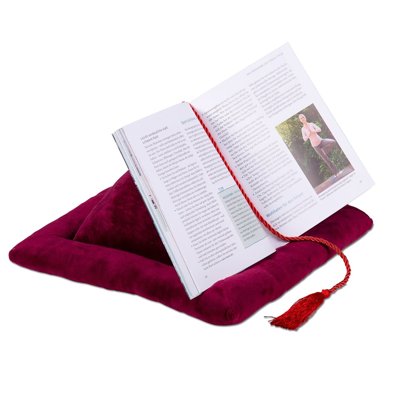 aktivshop Buch-Kissen