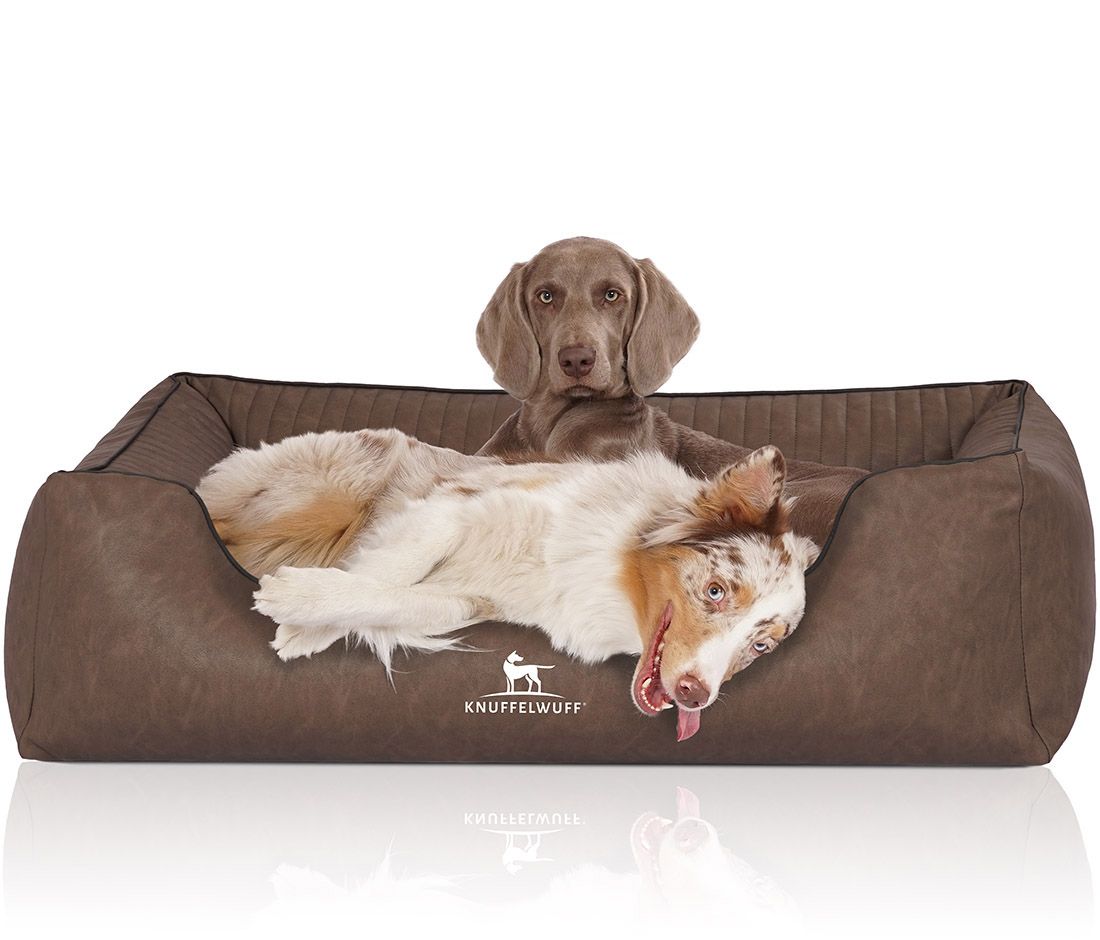Hundebett mit zwei Hunden. Braunes Bett mit Logo. Ein Hund liegt, einer sitzt. Marke: Knuffelwuff.
