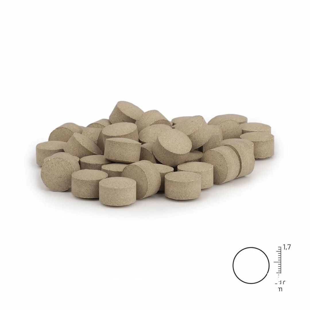 Haufen von runden, beigefarbenen Tabletten. Eine Tablette ist mit einem Maßstab dargestellt.