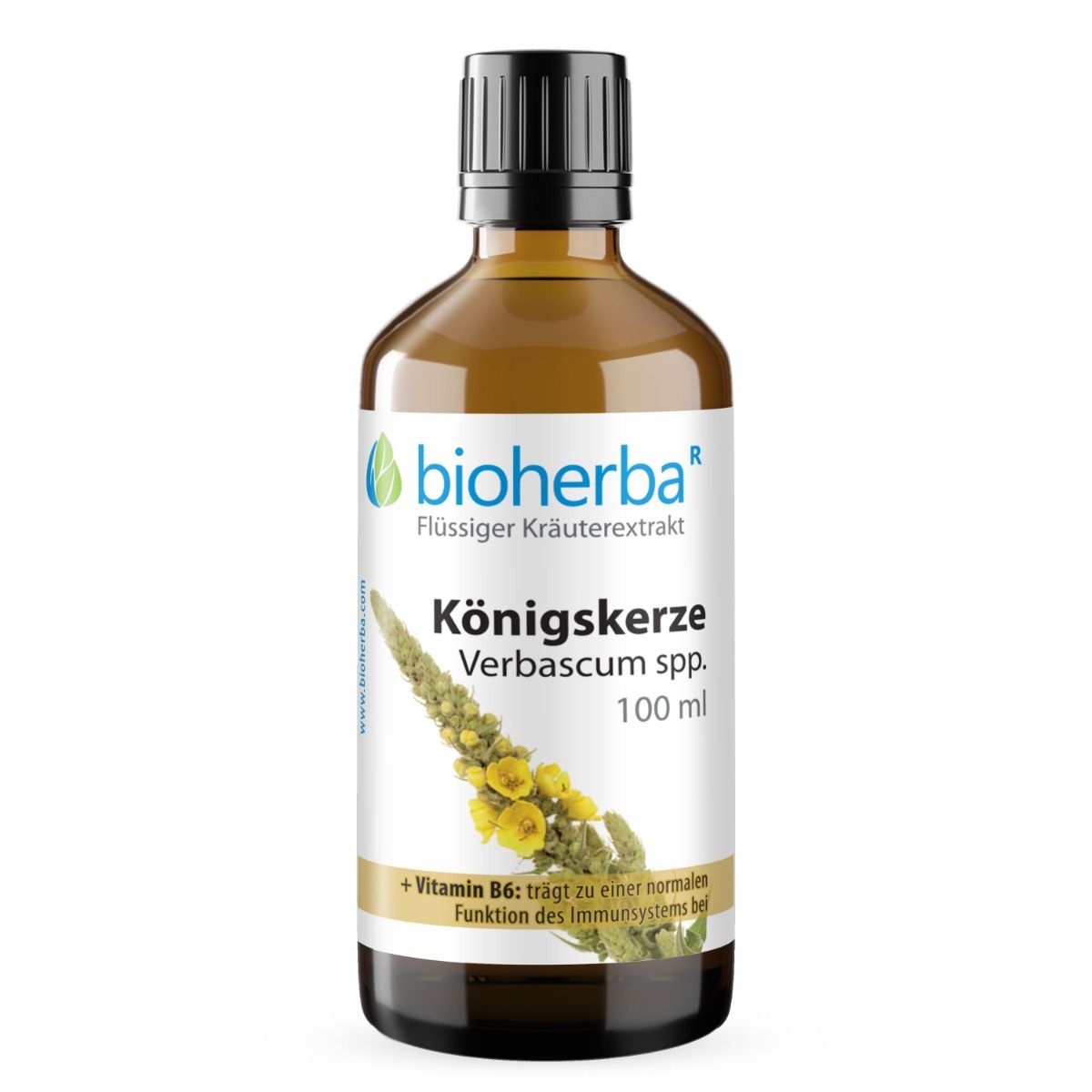 Braune Glasflasche mit schwarzem Deckel. Etikett mit Produktname: Königskerze Verbascum spp. Tropfen. Text: + Vitamin B6: trägt zu einer normalen Funktion des Immunsystems bei.