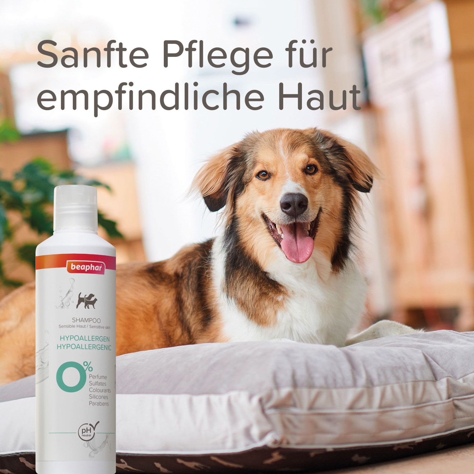 Beaphar Shampoo-Flasche neben Hund. Text: Hypoallergen, 0% Parfüm, Sulfate, Silikone, Parabene. pH-Wert.