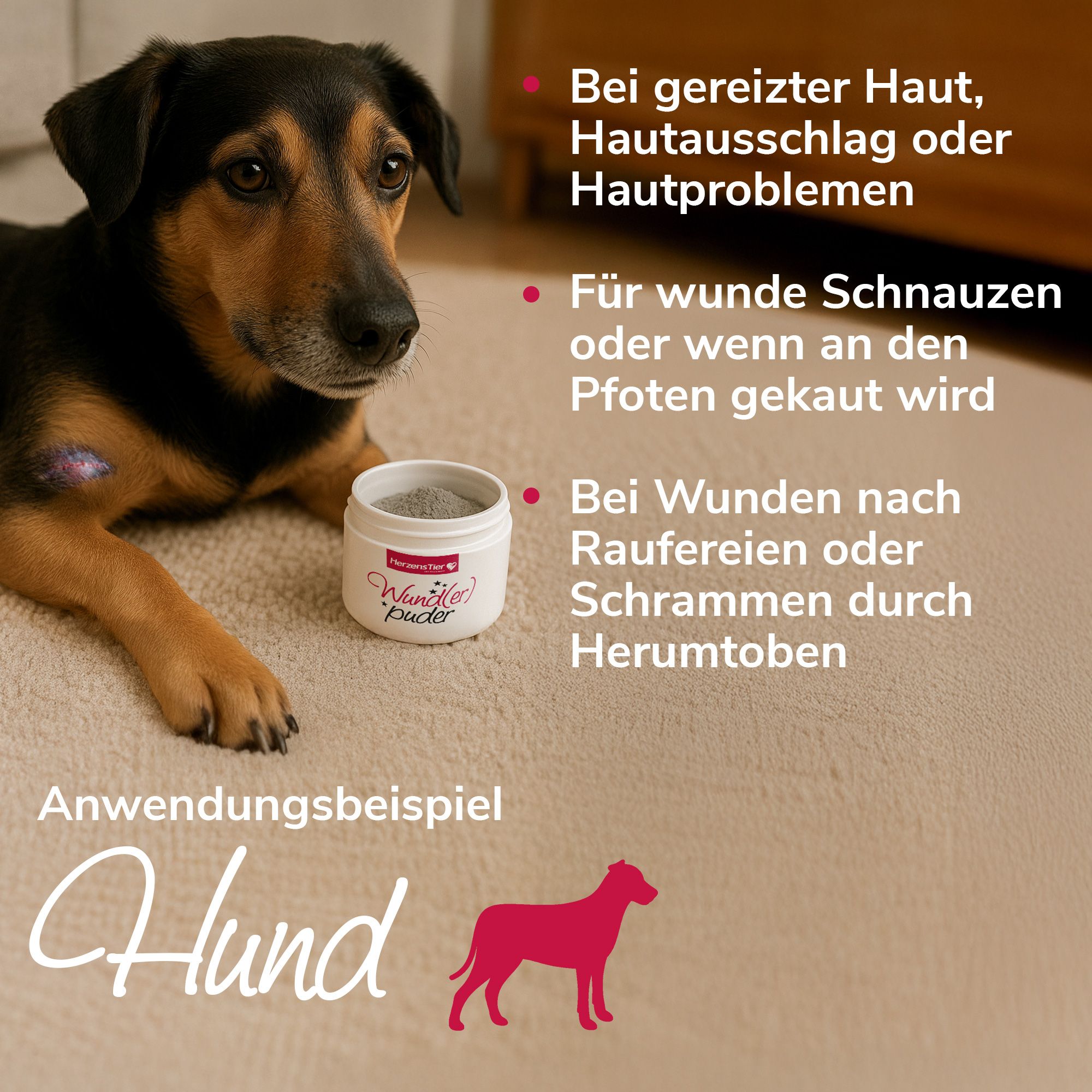 HerzensTier Wund(er)puder für Hund, Katze & Pferd
