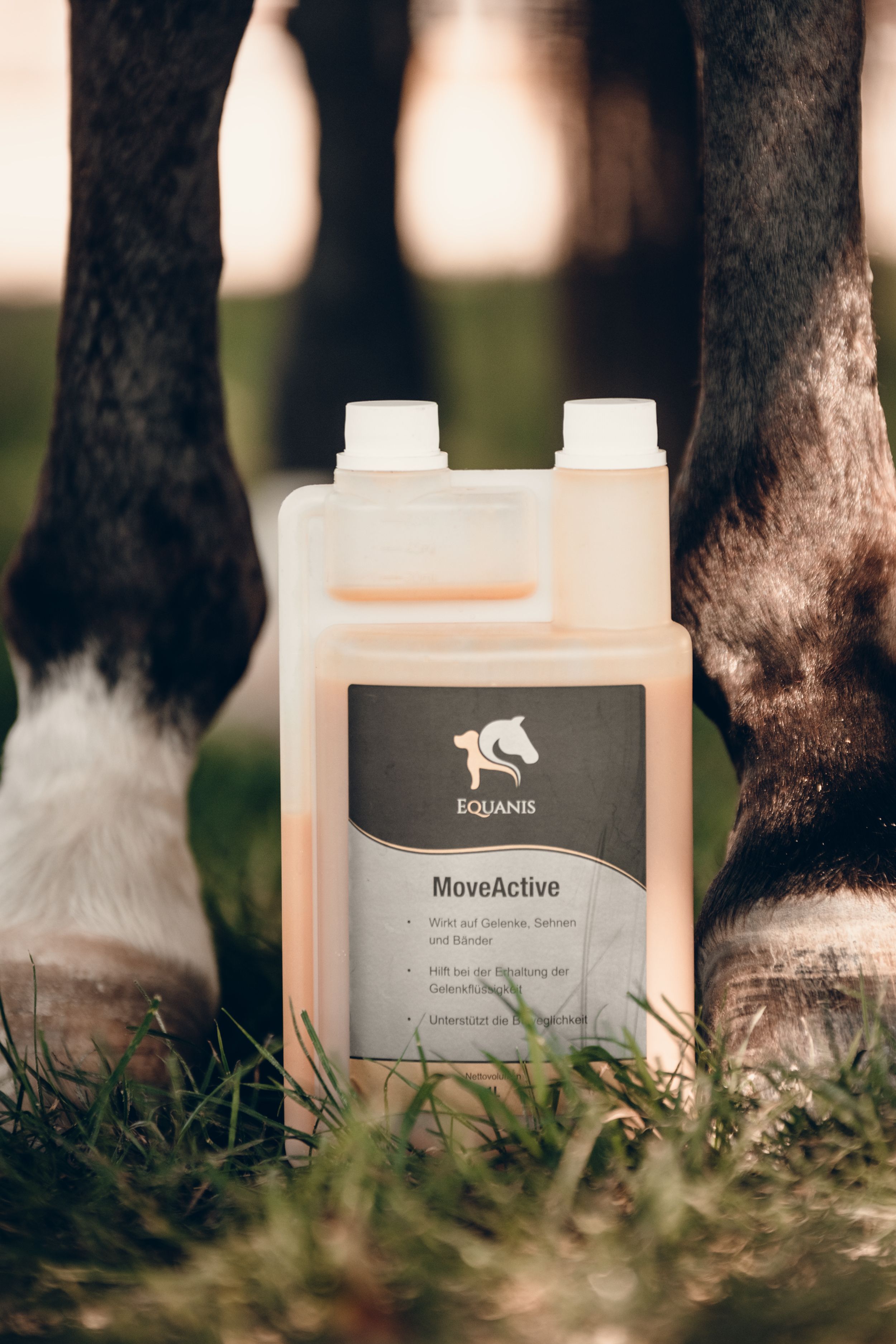 Flasche mit Etikett. Produktname: MoveActive. Logo: Pferd und Hund. Steht vor Pferdebeinen auf Gras.