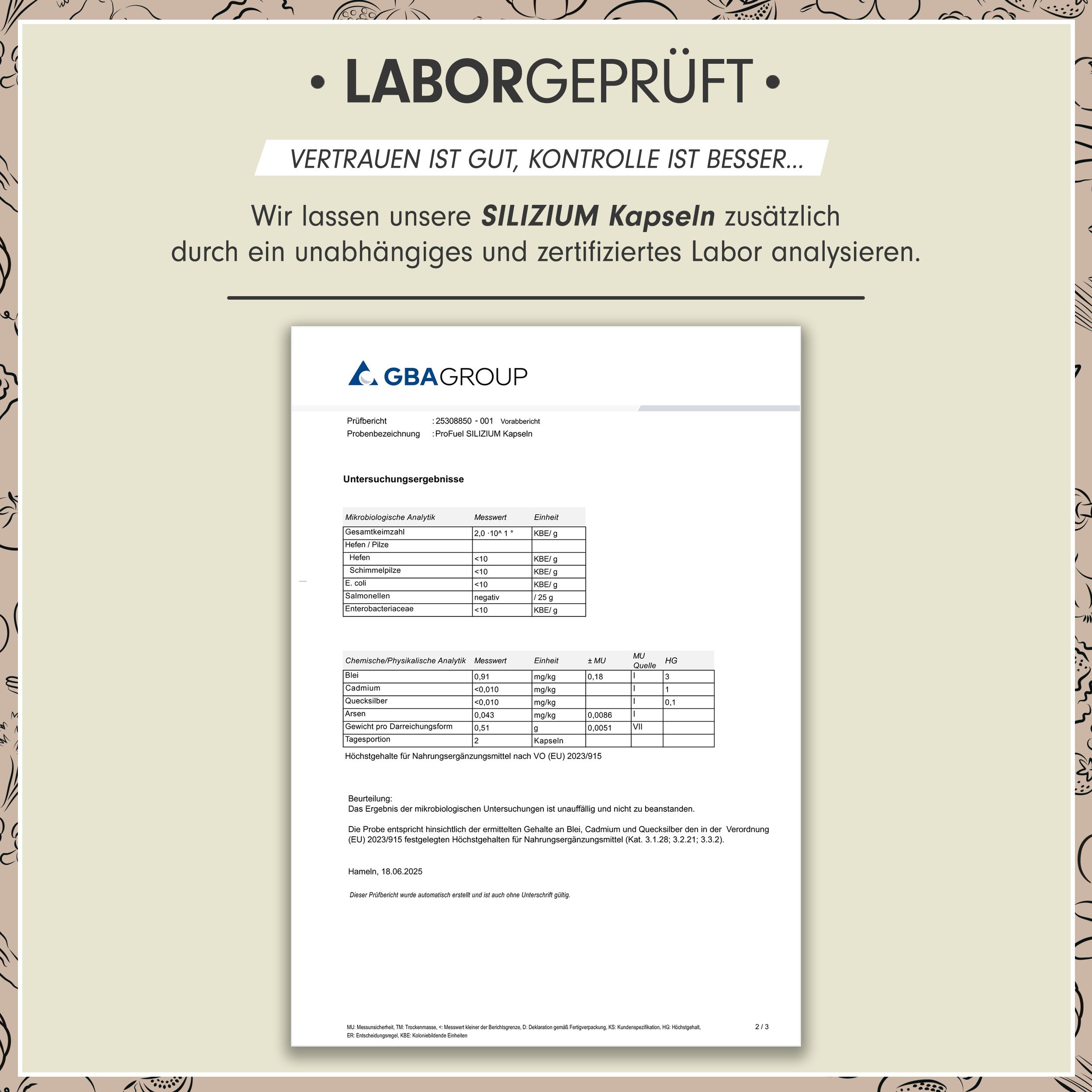 Laborbericht. Analyseergebnisse von Silizium Kapseln. GBA Group Logo. Zertifizierte Laboranalyse.