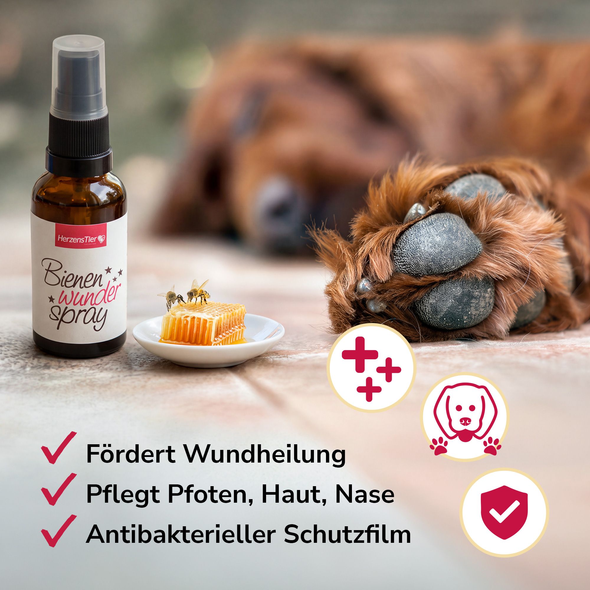 Braune Sprühflasche mit Etikett "Bienenwunder Spray". Daneben ein Stück Wabe mit Bienen. Im Hintergrund Pfote eines Hundes.