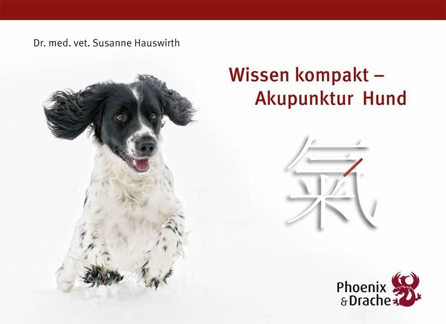 Wissen kompakt - Akupunktur Hund Mit Punkte-Mind-Map 'Hunde' und Folie 'Hunde-Skelett'