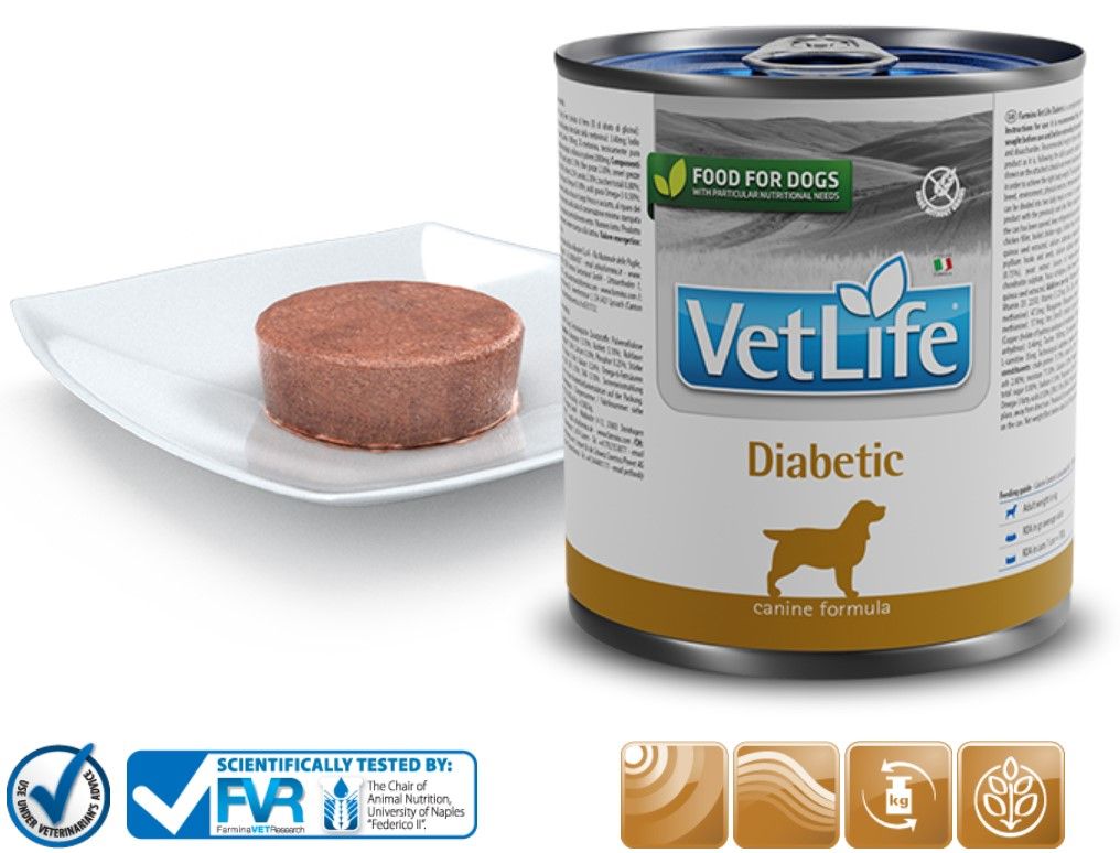 Hundefutterdose und Futter auf Teller. Aufschrift: VetLife Diabetic. Logo, italienische Flagge. Zertifizierungslogos.
