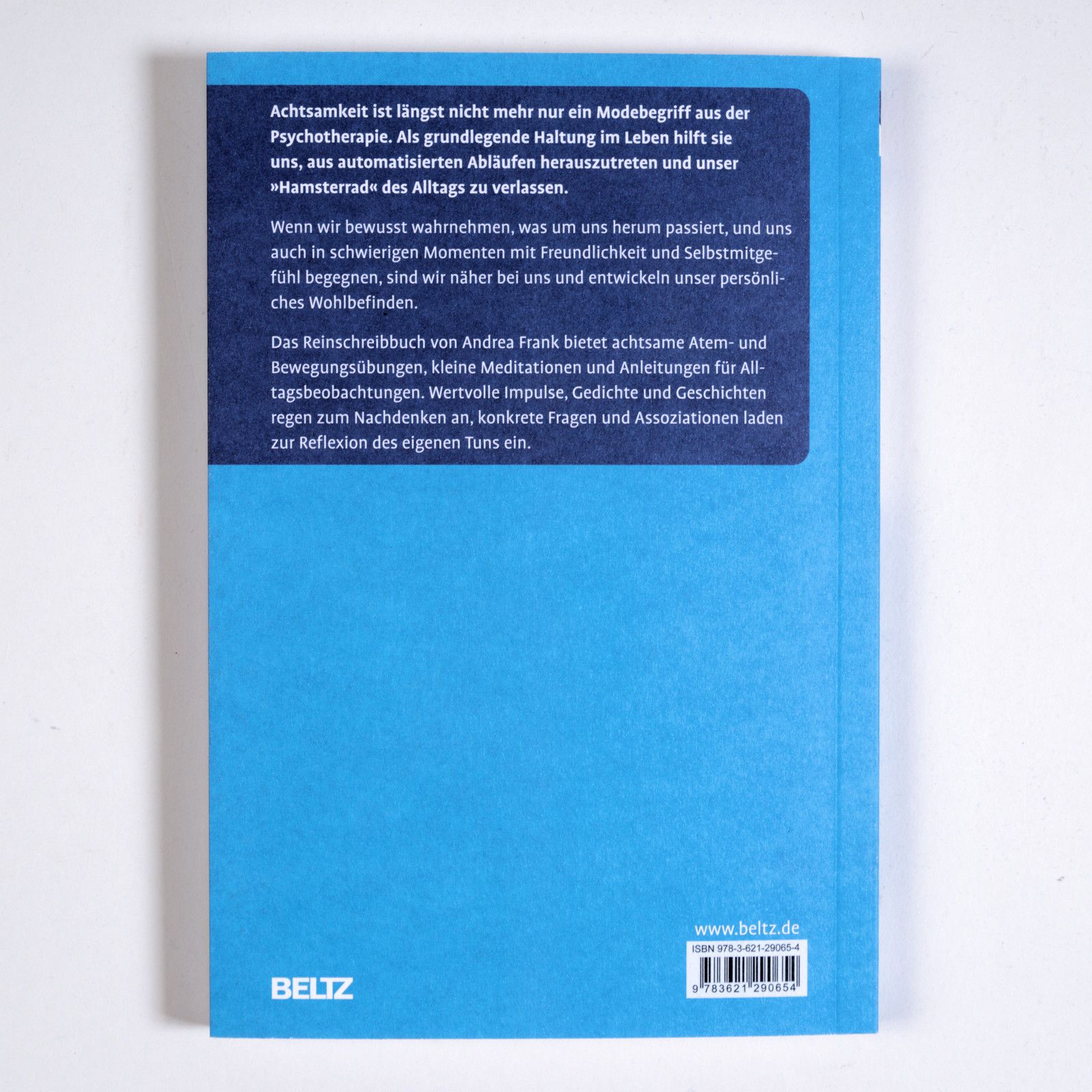 Buchrückseite mit Text. Blauer Hintergrund. Verlag BELTZ. ISBN-Code.