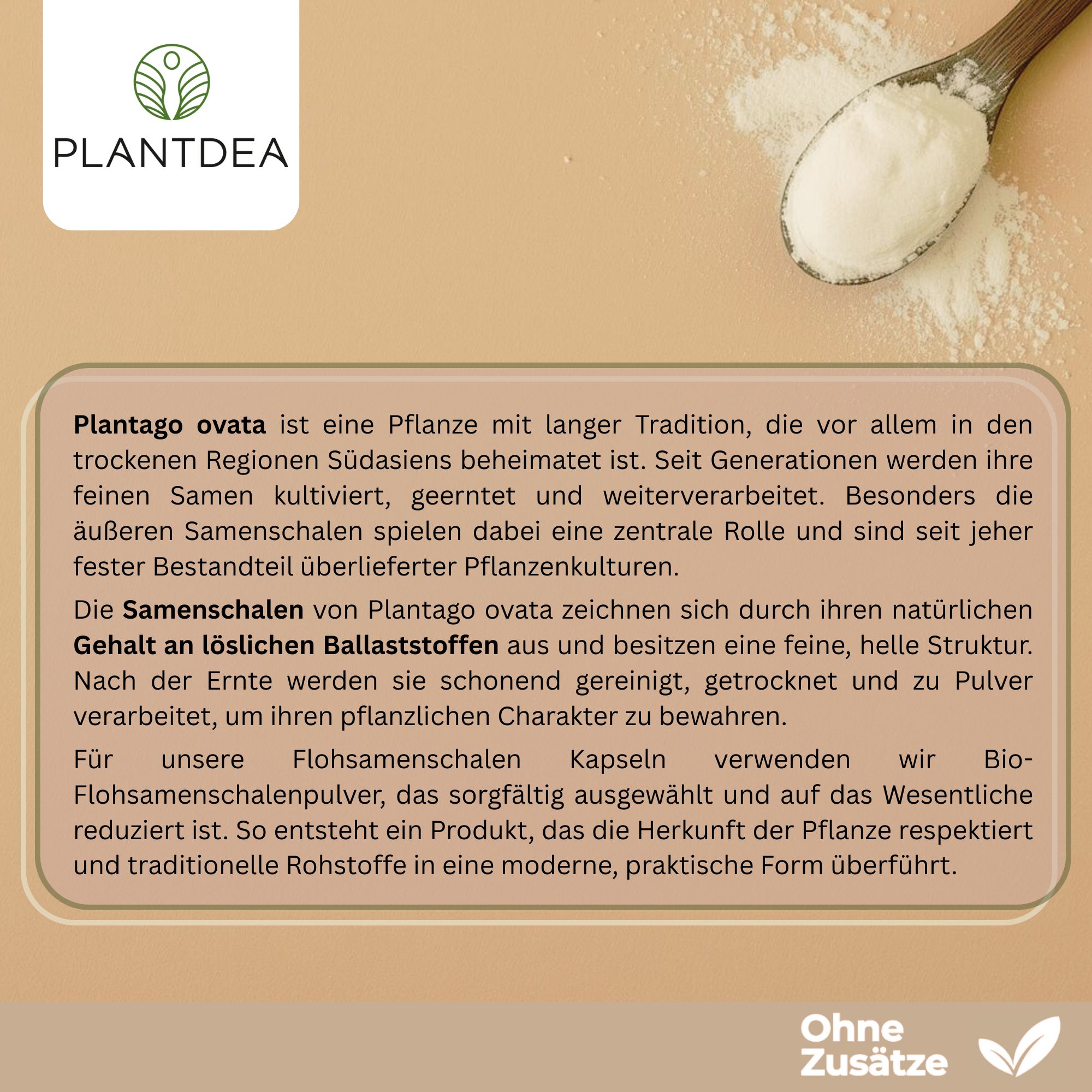 Text über Plantago ovata und Flohsamenschalen. Beschreibung der Eigenschaften und Herkunft. Ohne Zusätze.