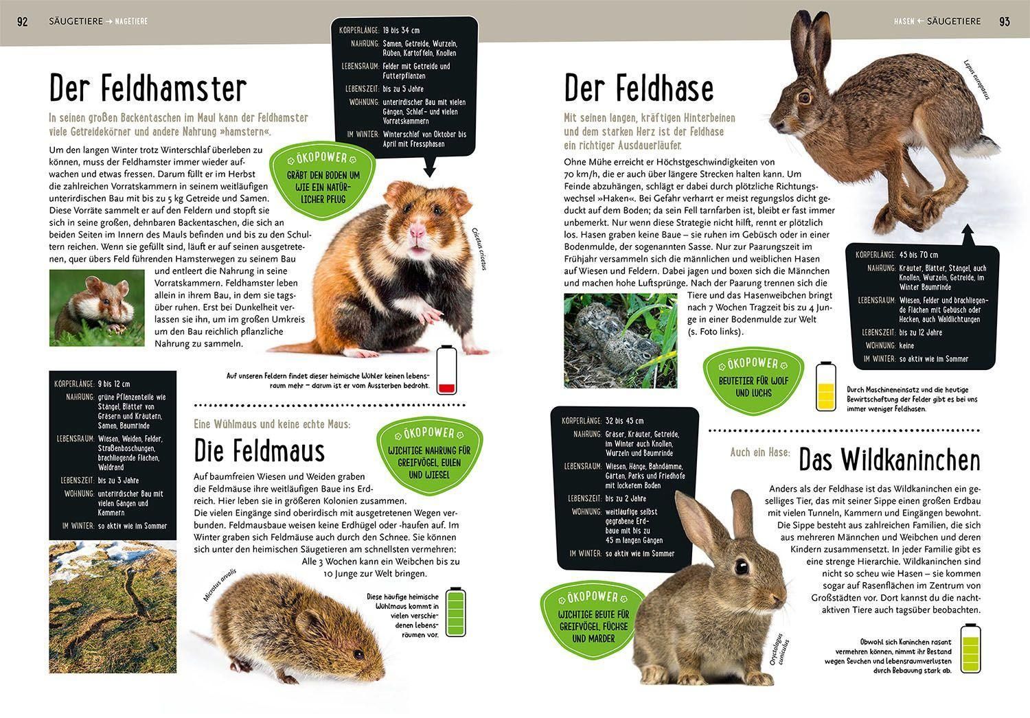 Mein Kosmos-Buch Natur