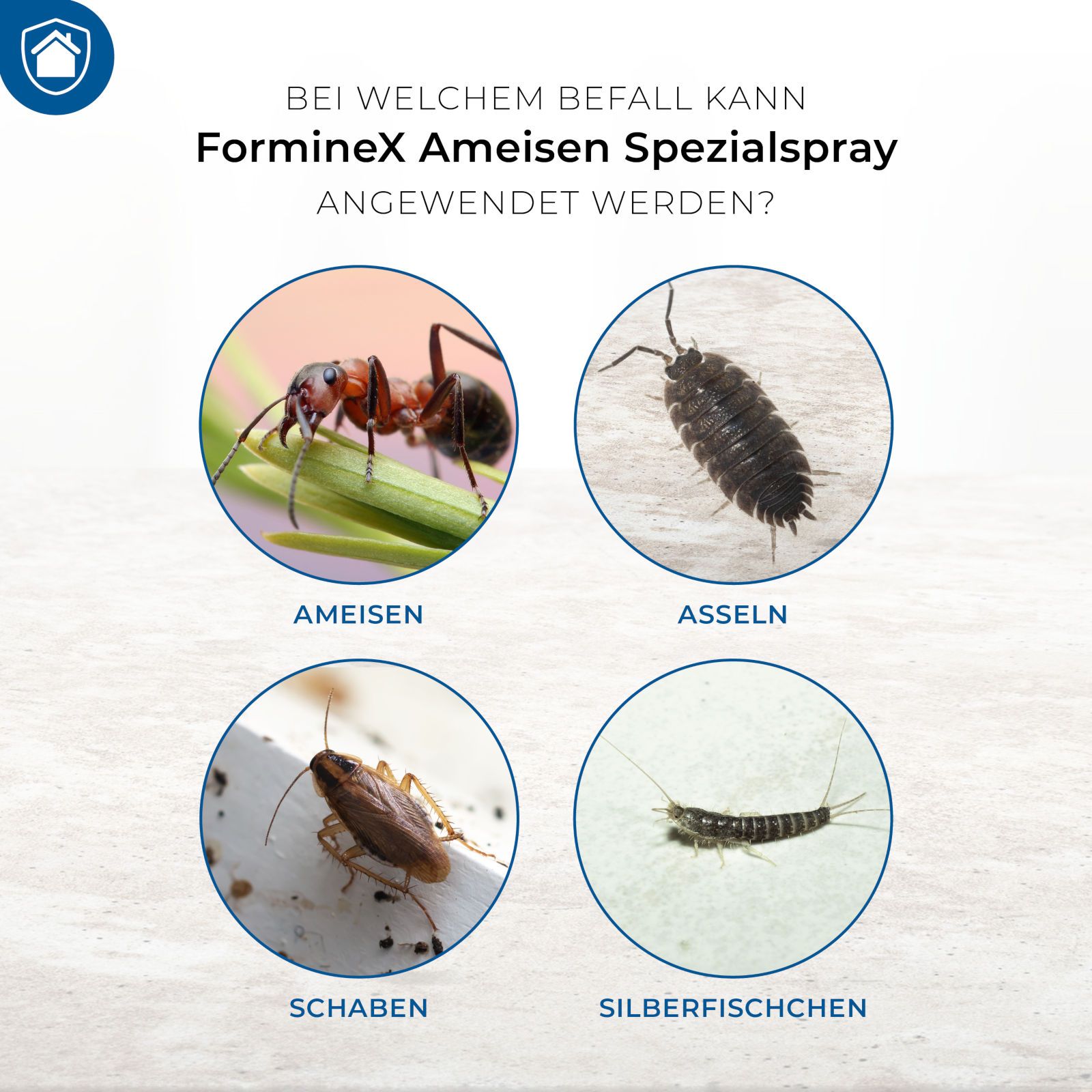 Protect Home FormineX Ameisen Spezialspray