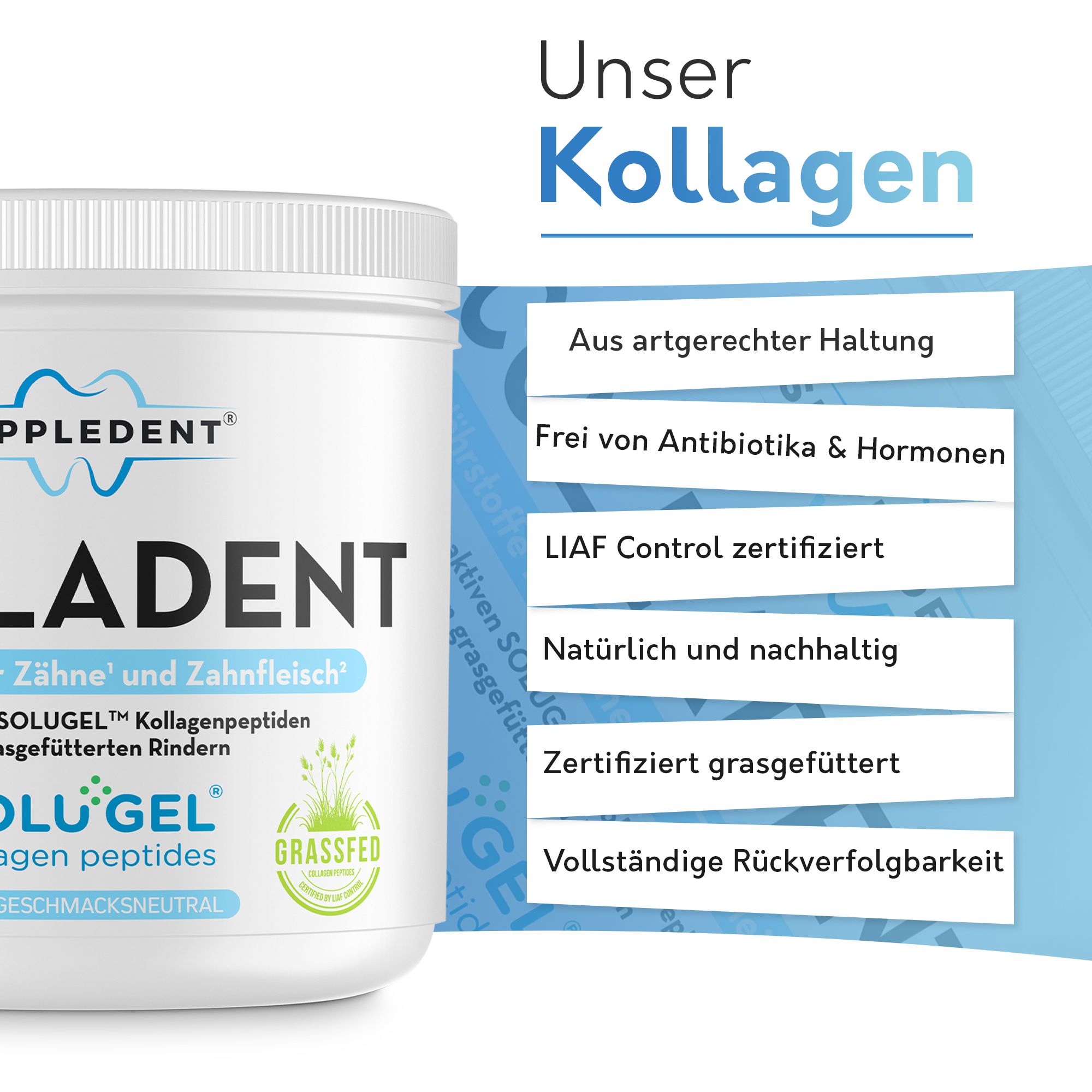 SUPPLEDENT Colladent