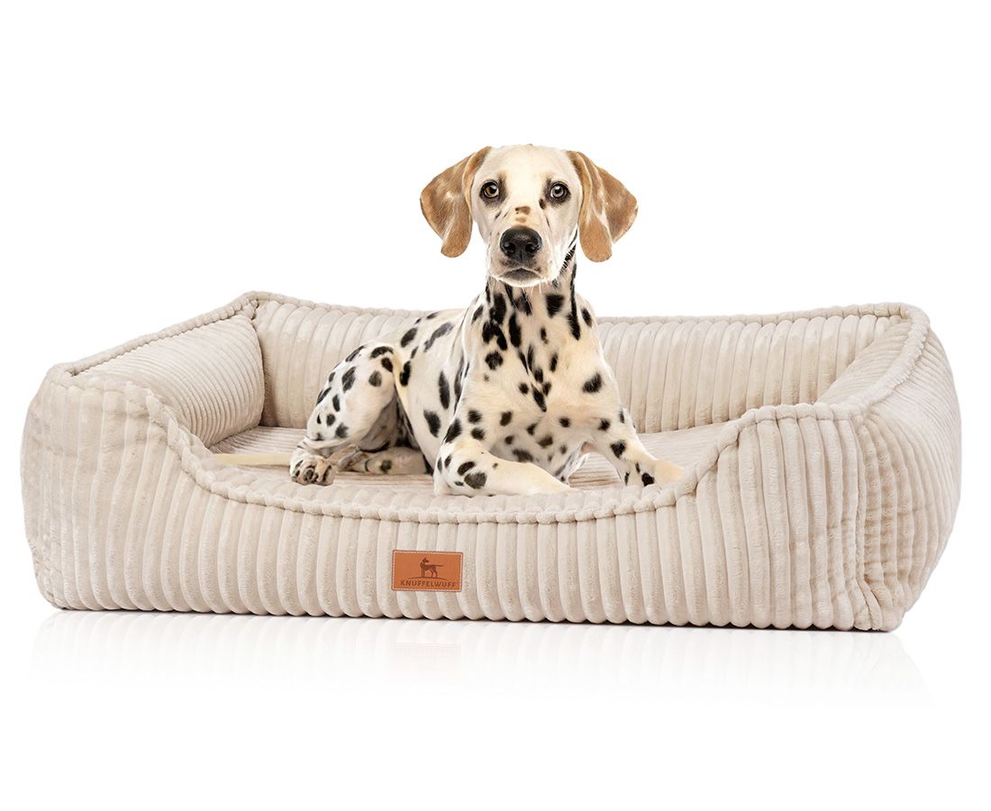 Beiges orthopädisches Hundebett mit einem Dalmatiner. Erhöhte Seiten, rechteckige Form, Cord-Optik, Markenlogo.