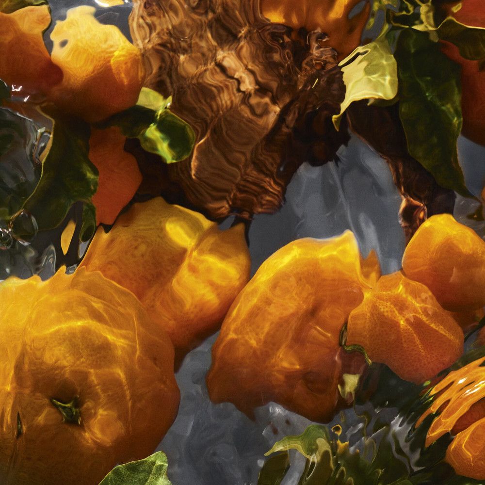 Orangen im Wasser. Blätter und Äste sind sichtbar. Helles, sonniges Licht.