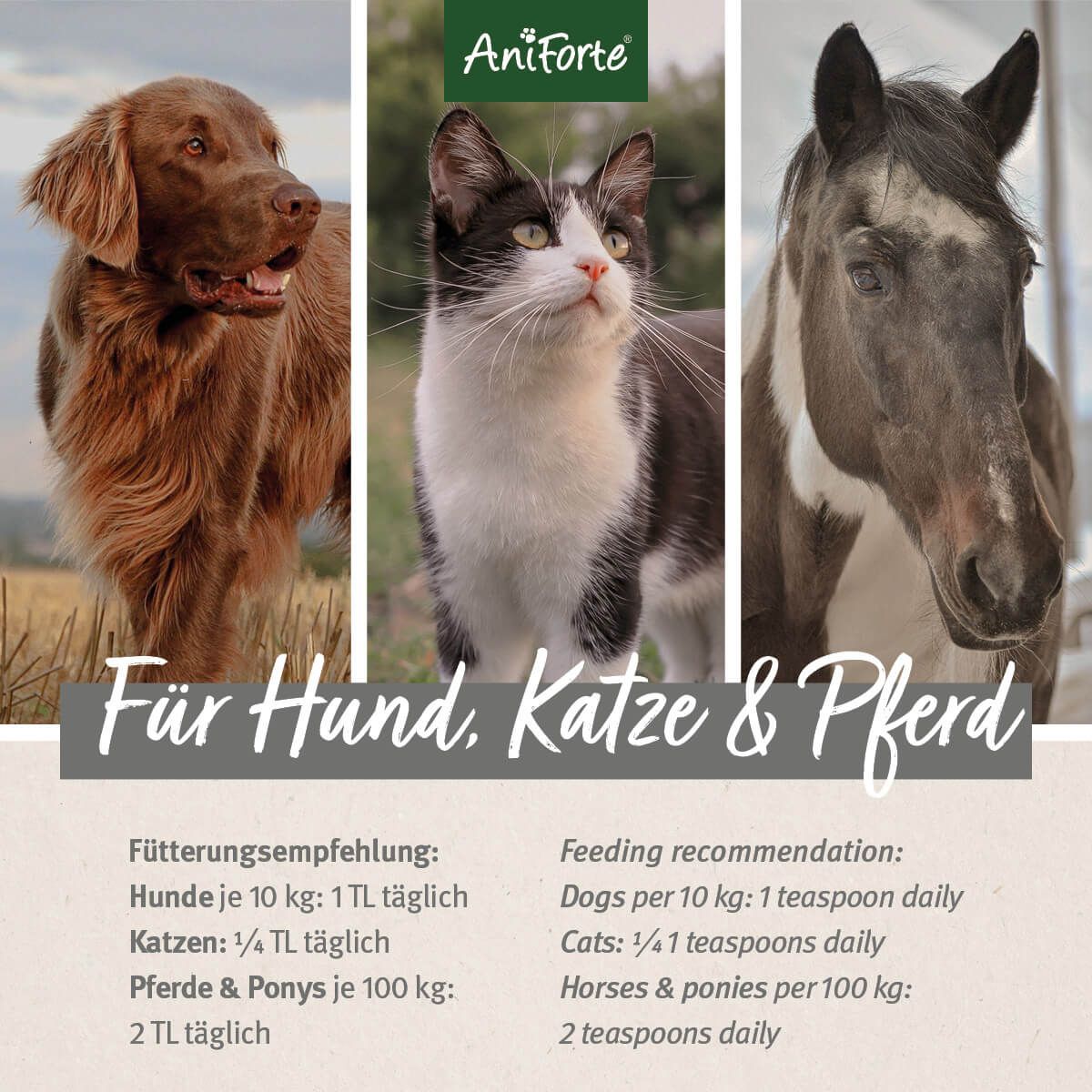 Lachsöl - AniForte®