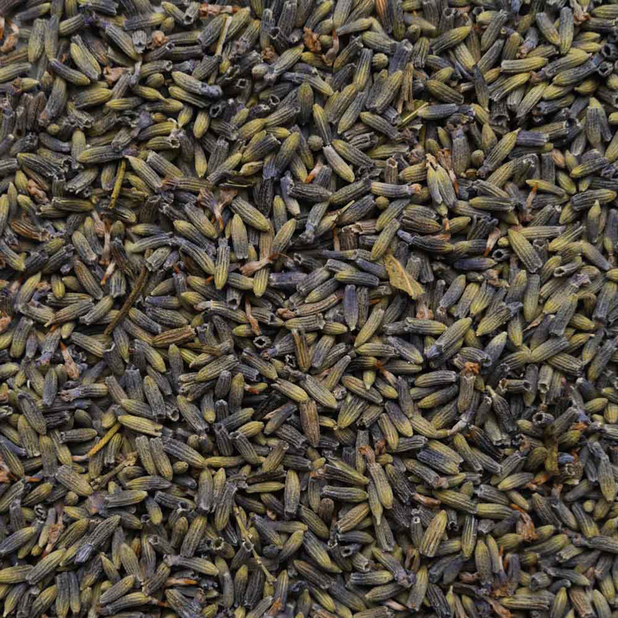 Biotiva Lavendelblüten ganz Bio