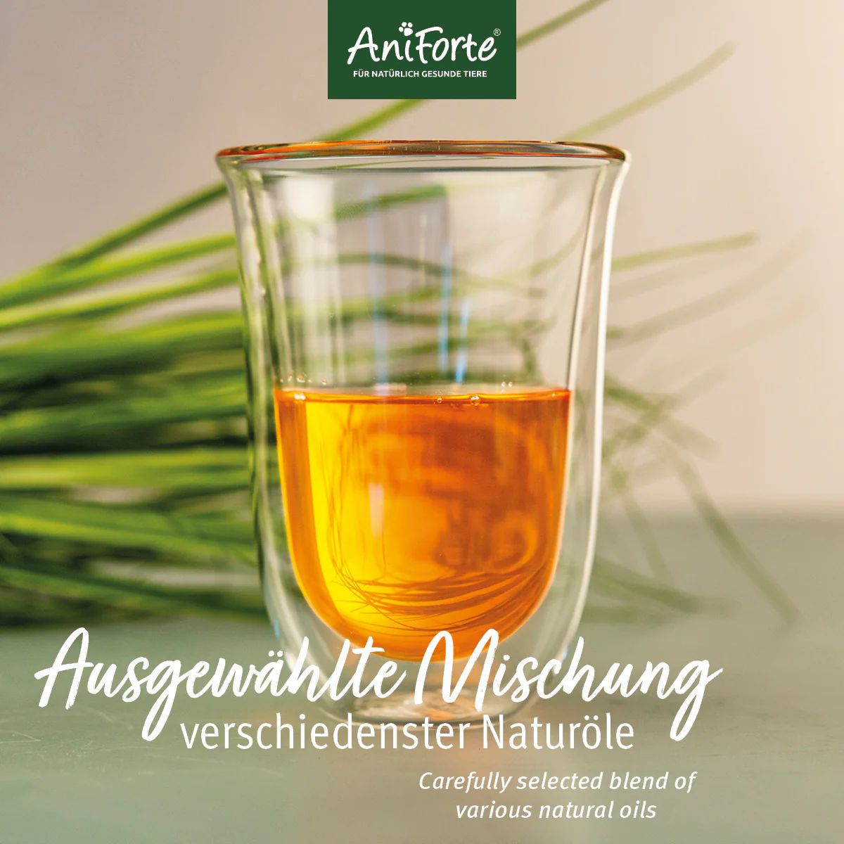 Glas mit goldfarbenem Öl. Text: Ausgewählte Mischung verschiedenster Naturöle. AniForte Logo.