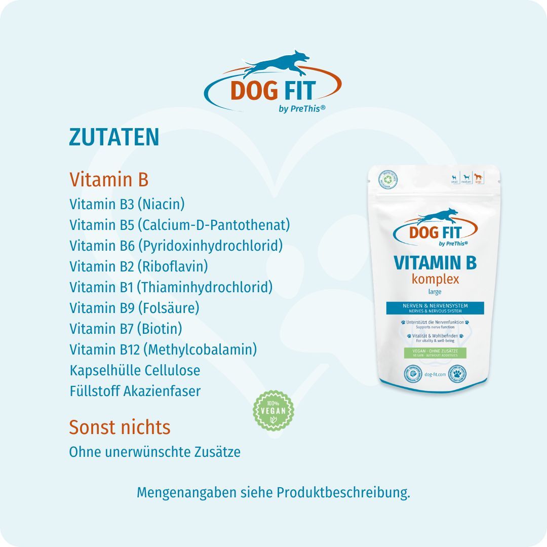 Produktverpackung mit Zutatenliste: Vitamin B, B3, B5, B6, B2, B1, B9, B7, B12. Kapselhülle Cellulose. Ohne unerwünschte Zusätze.