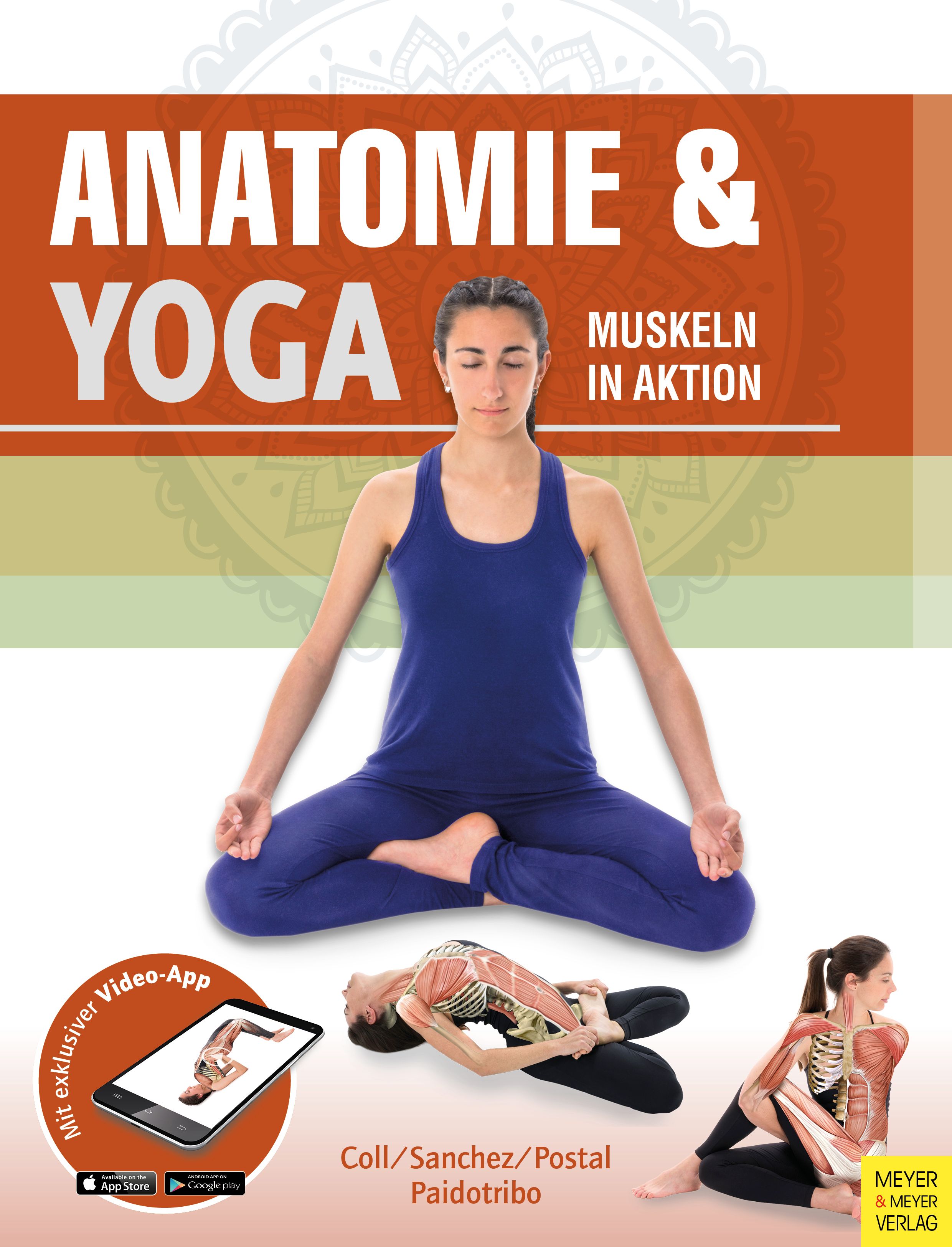 Buchcover mit Titel „Anatomie & Yoga“. Frau in Yoga-Pose, Illustrationen von Muskeln, Video-App-Hinweis, Autorennamen, Verlag.