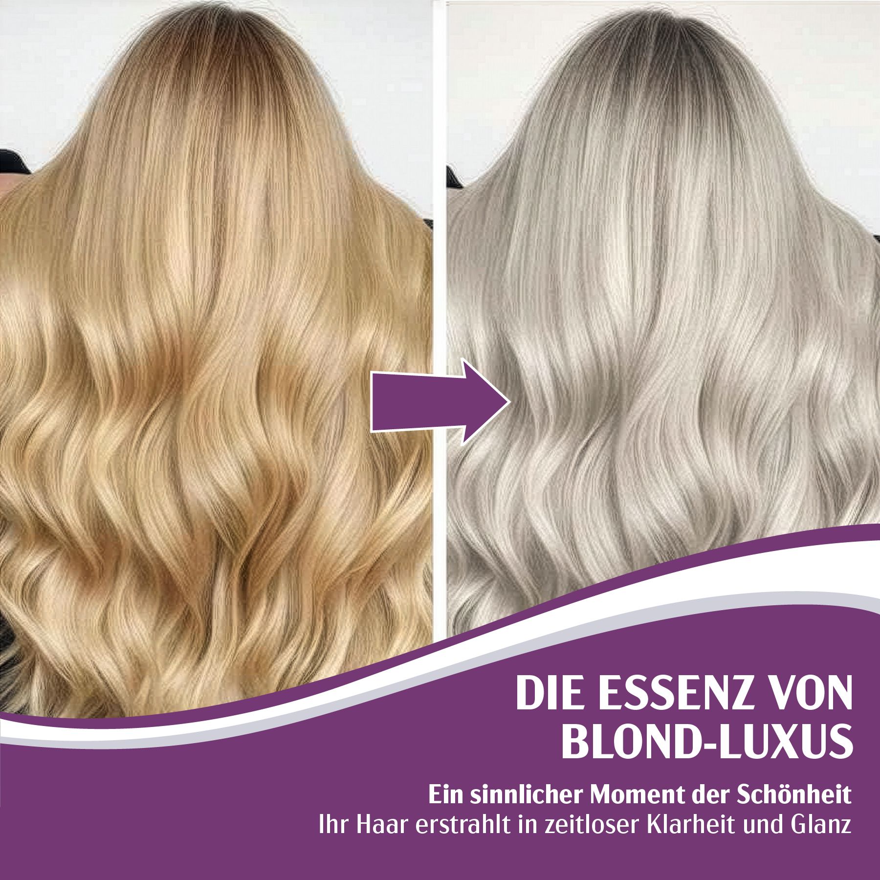 Karseell Haarmaske Purple. Vorher-Nachher-Vergleich. Text: Die Essenz von Blond-Luxus.