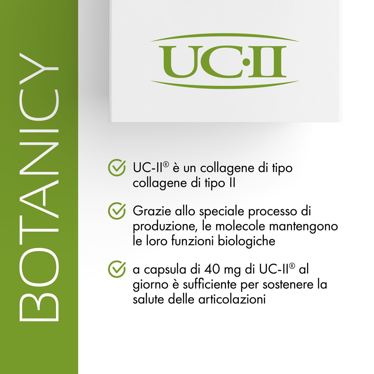 Primo piano del logo UC-II. Testo: UC-II è collagene di tipo II. Processo di produzione speciale. 40 mg UC-II al giorno.