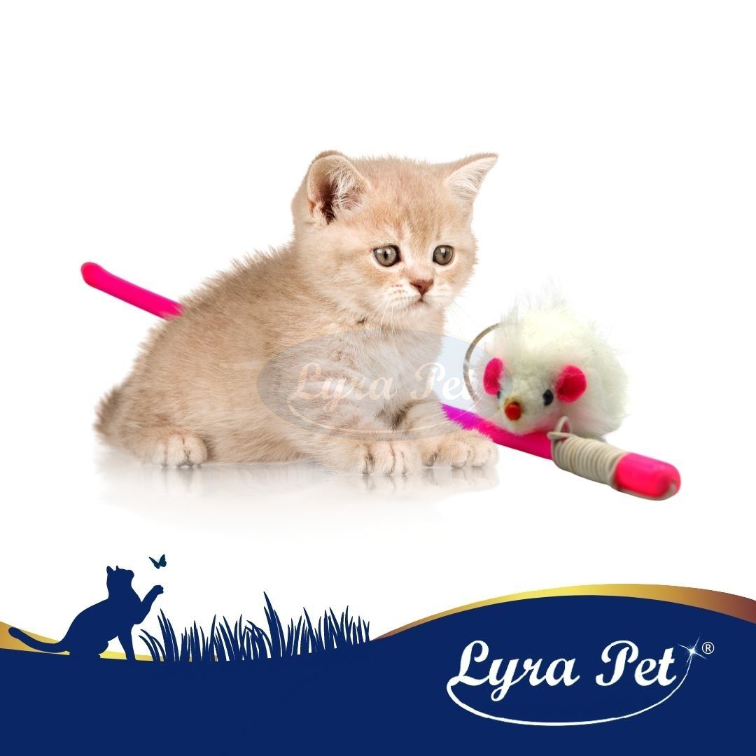 Lyra Pet® Katzenangel mit Maus weiß