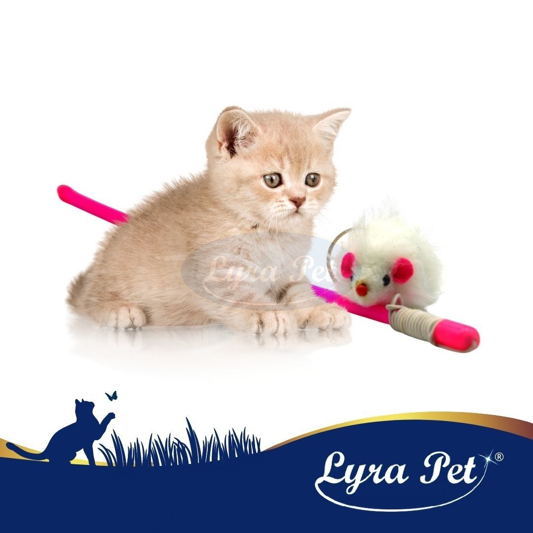 Kätzchen neben Angel mit weißer Maus. Rosa Stab, Maus mit roter Nase. Lyra Pet Logo.