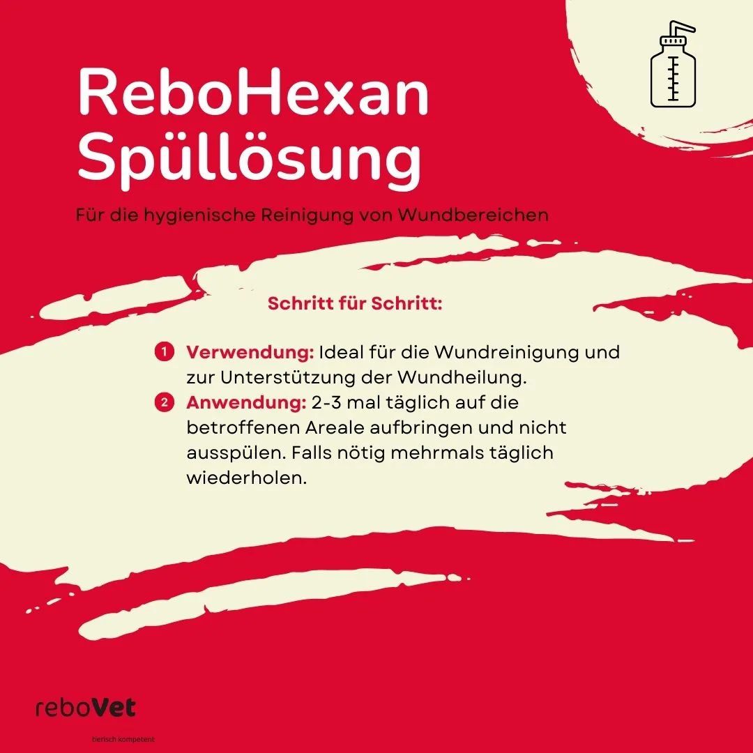 REBOHEXAN Spüllösung Anleitung mit Schritten zur Wundreinigung und Anwendung bei Tieren.
