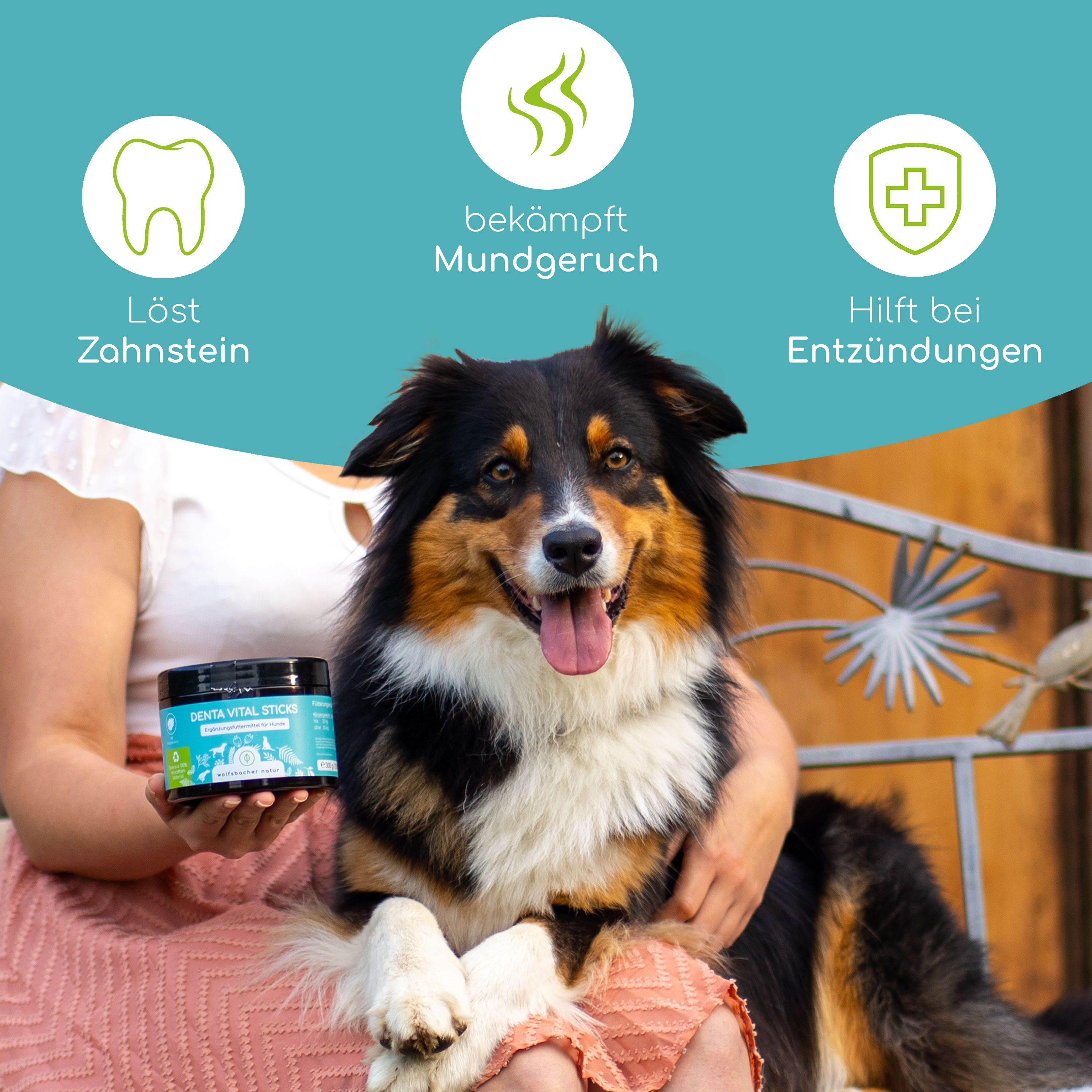 Eine Frau hält eine Dose "Denta Vital Sticks" und umarmt einen Hund. Auf der Dose steht "wolfsbacher natur".