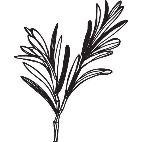 Alteya Organics Rosmarinöl 100%