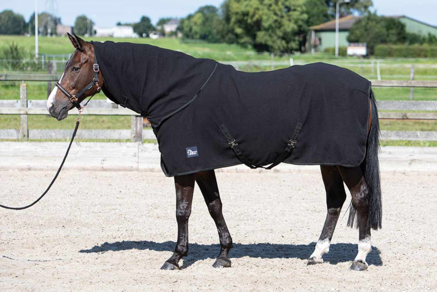 Harry`s Horse Fleecedecke