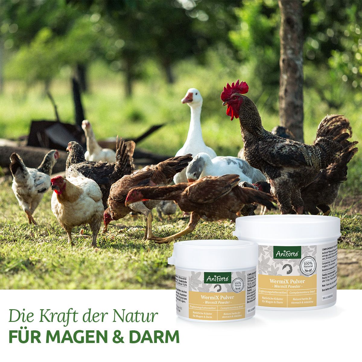 AniForte Wermix für Hühner & Co 50 g Pulver