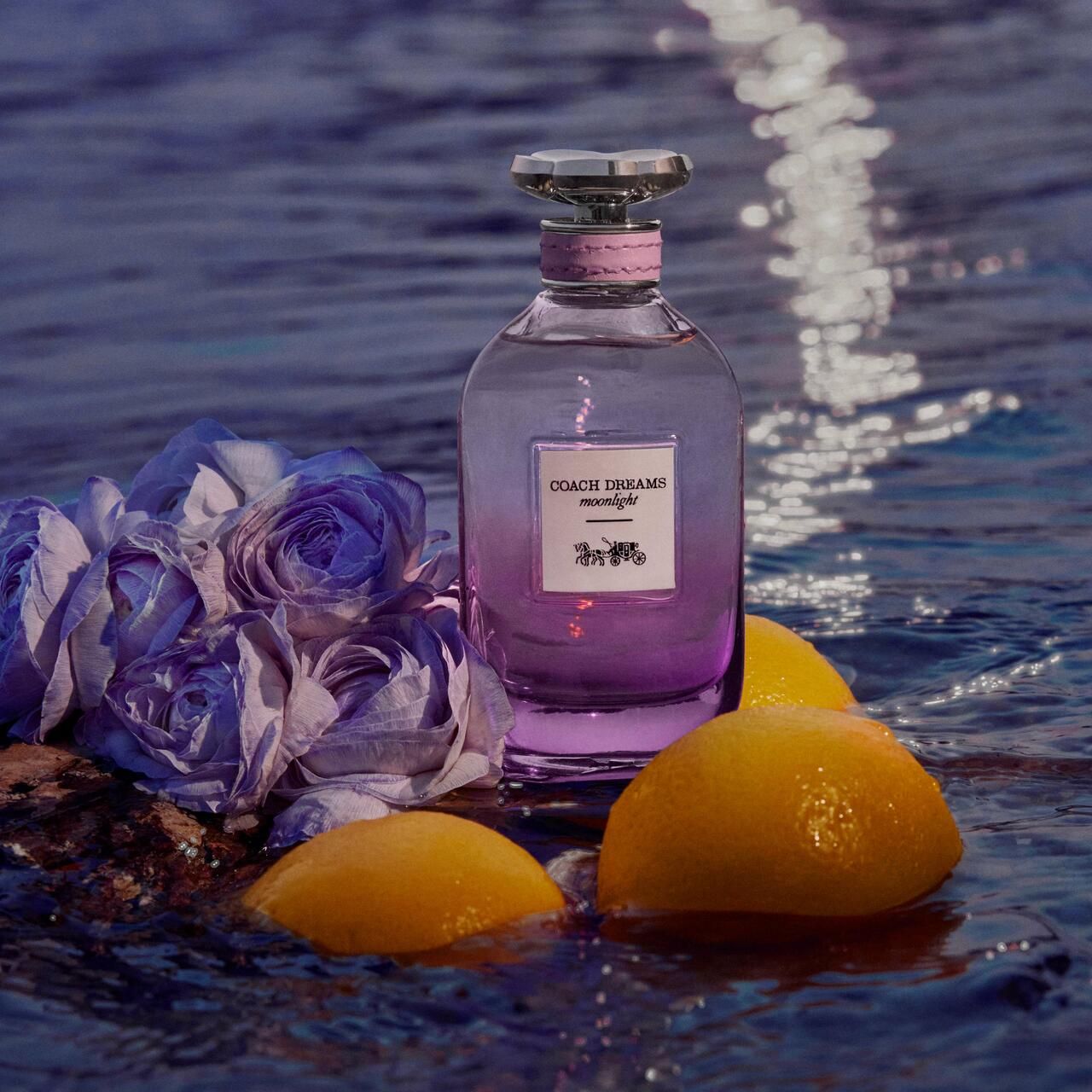 Parfümflasche im Wasser mit Blumen und Zitronen. Flasche mit rosa-lila Farbverlauf, silbernem Deckel.