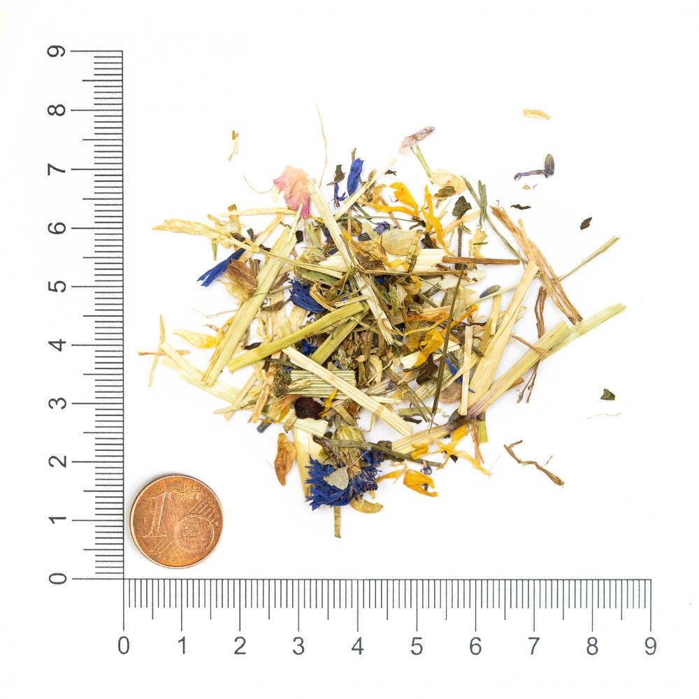 Krauterie Sommer Kräuter für Pferde