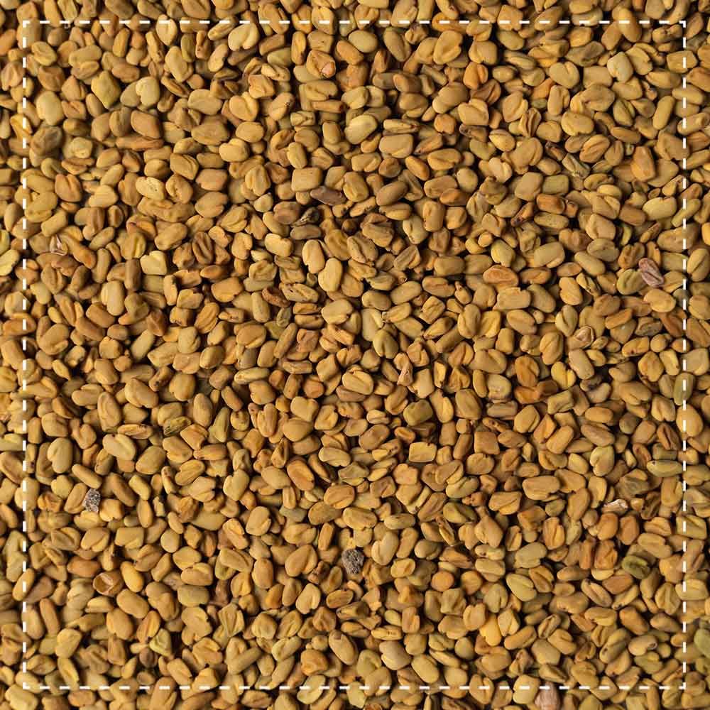 Biotiva Bockshornkleesamen ganz Bio