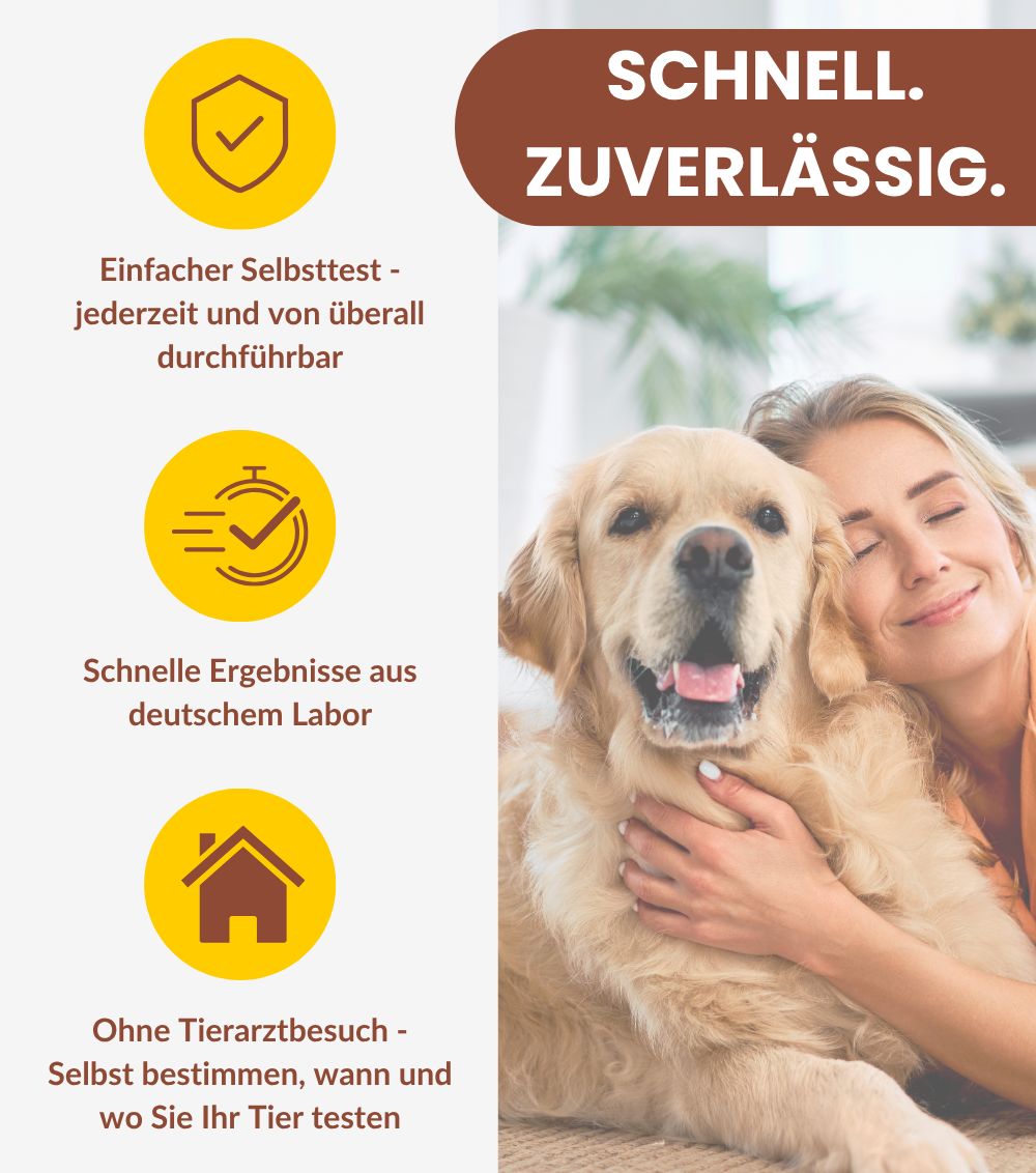 MetaLytic Pilz-Test: Schnelle, zuverlässige Ergebnisse aus deutschem Labor. Ohne Tierarztbesuch.