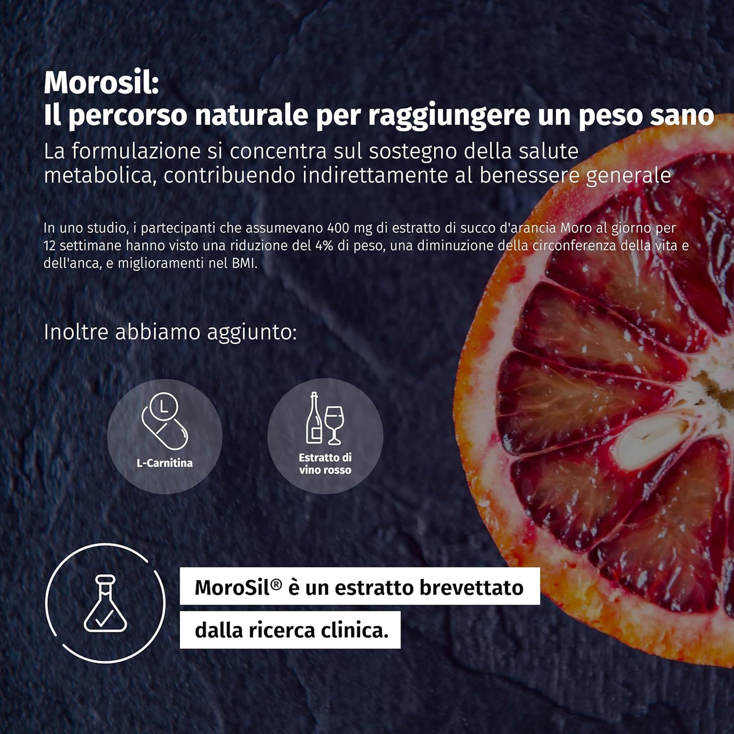 Text mit Informationen zu Morosil, L-Carnitin und Rotwein-Extrakt. Roter Hintergrund.