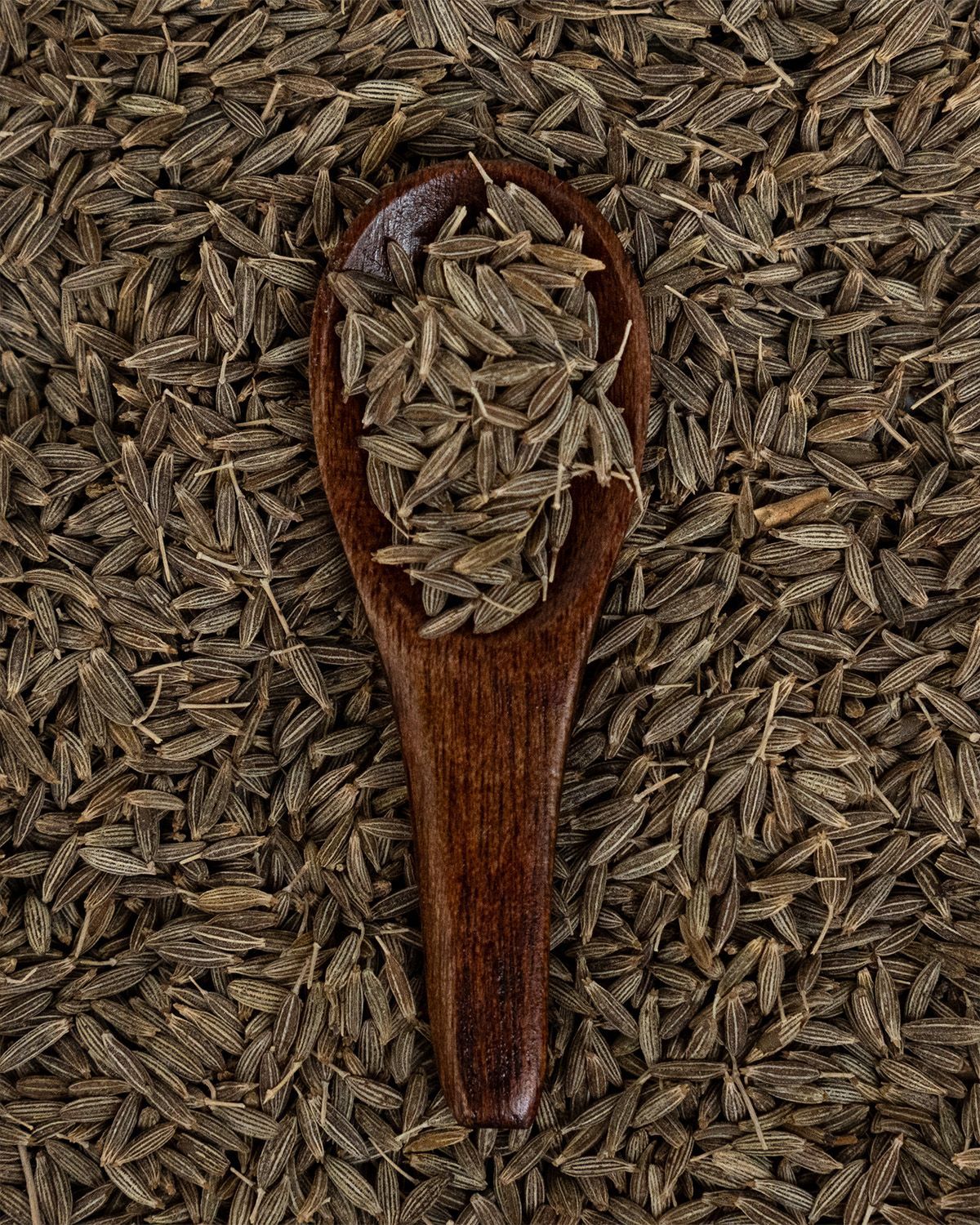 Holzlöffel gefüllt mit Kreuzkümmelsamen, auf einem Bett aus Samen.