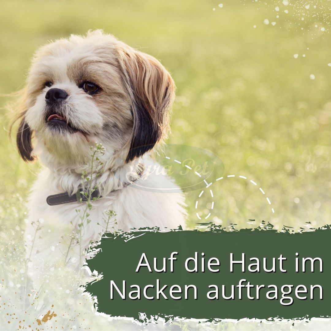 IPERON® SPOT-ON kleine Hunde