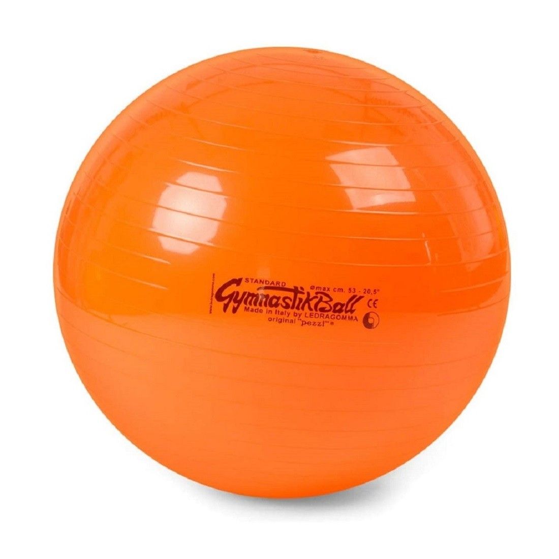 Pezzi®-Ball Original Gymnastikball mit Übungsanleitung
