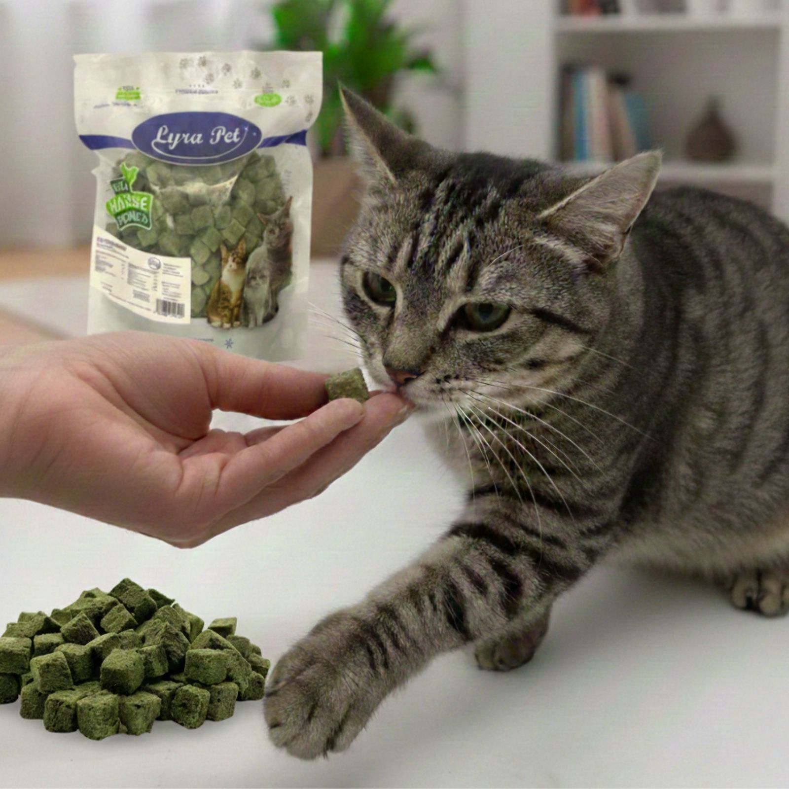 Lyra Pet® Katzengraswürfel gefriergetr.