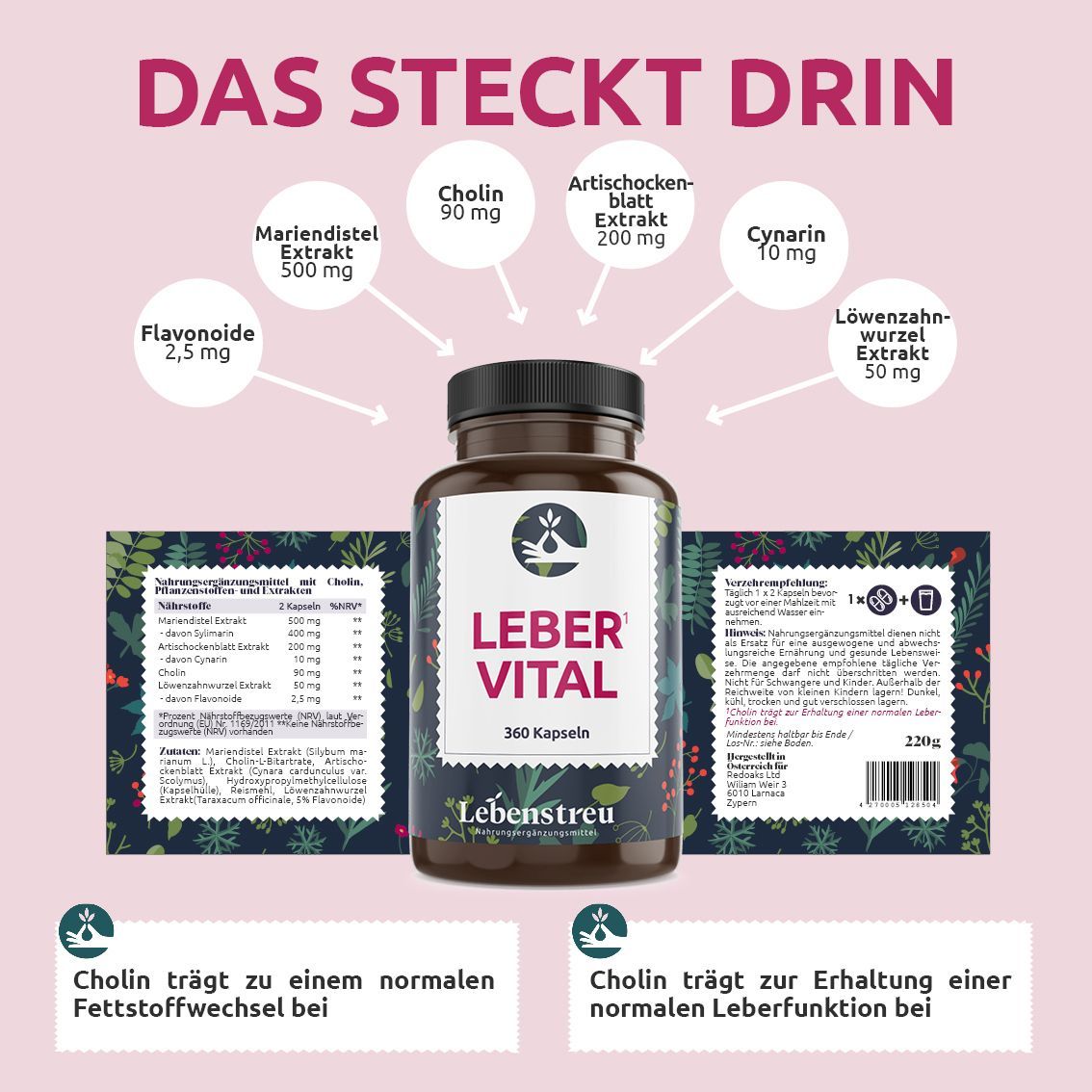 Lebenstreu Leber Komplex (360 Kapseln) mit Mariendistel, Artischocke, Löwenzahn und Cholin