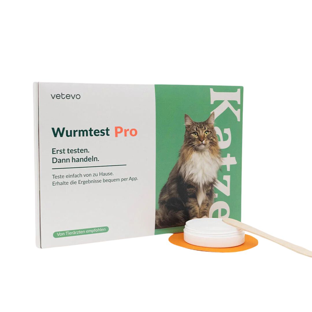 Wurmtest Pro Katze – inkl. Giardien