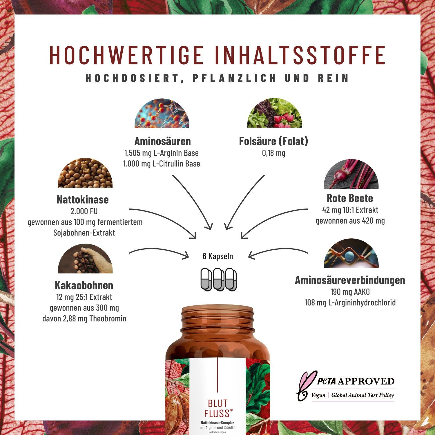 BLUTFLUSS Nattokinase-Komplex mit Arginin und Citrullin- NATURTREU®