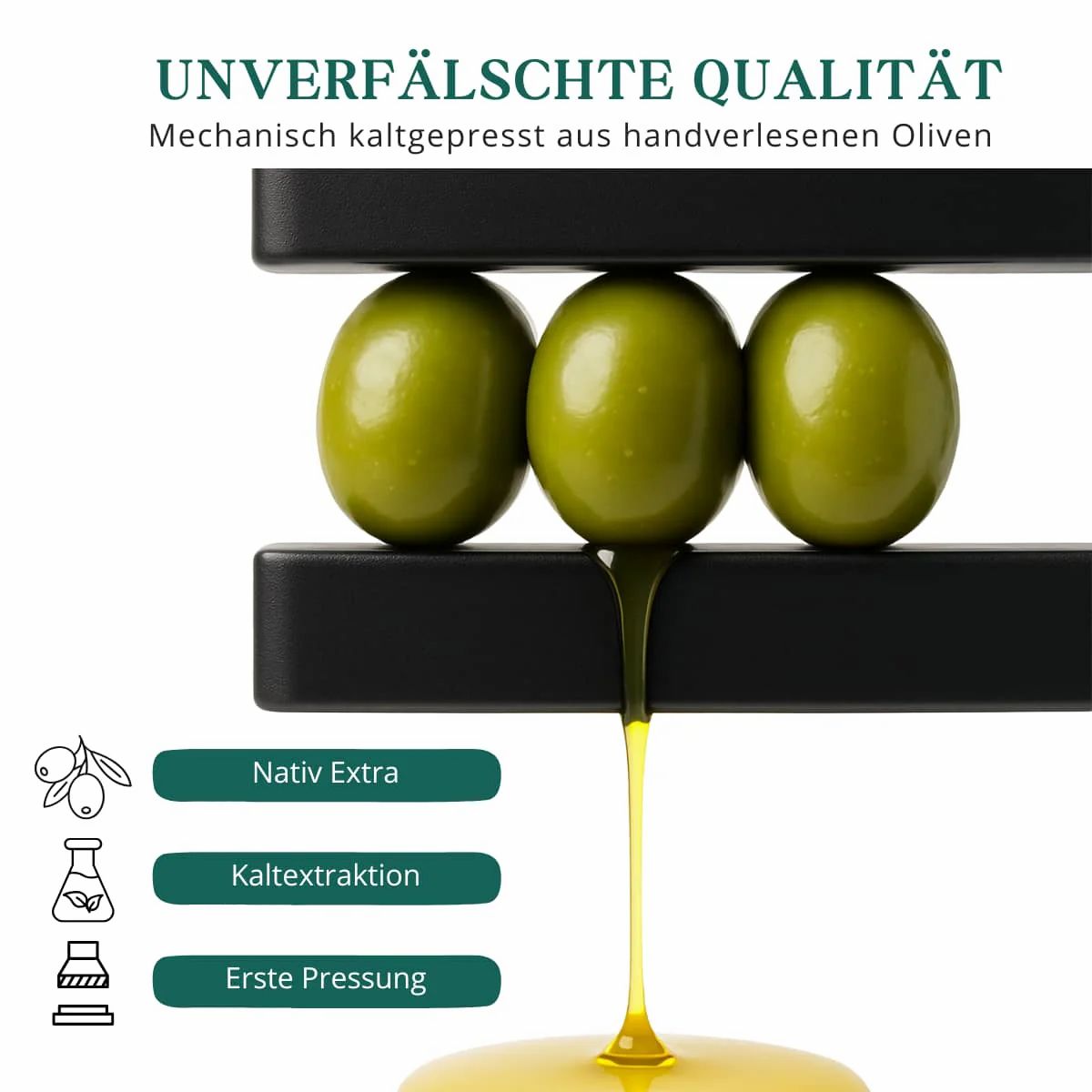 meinVitalium - Natives Bio-Olivenöl Extra (Hoher Polyphenolgehalt)