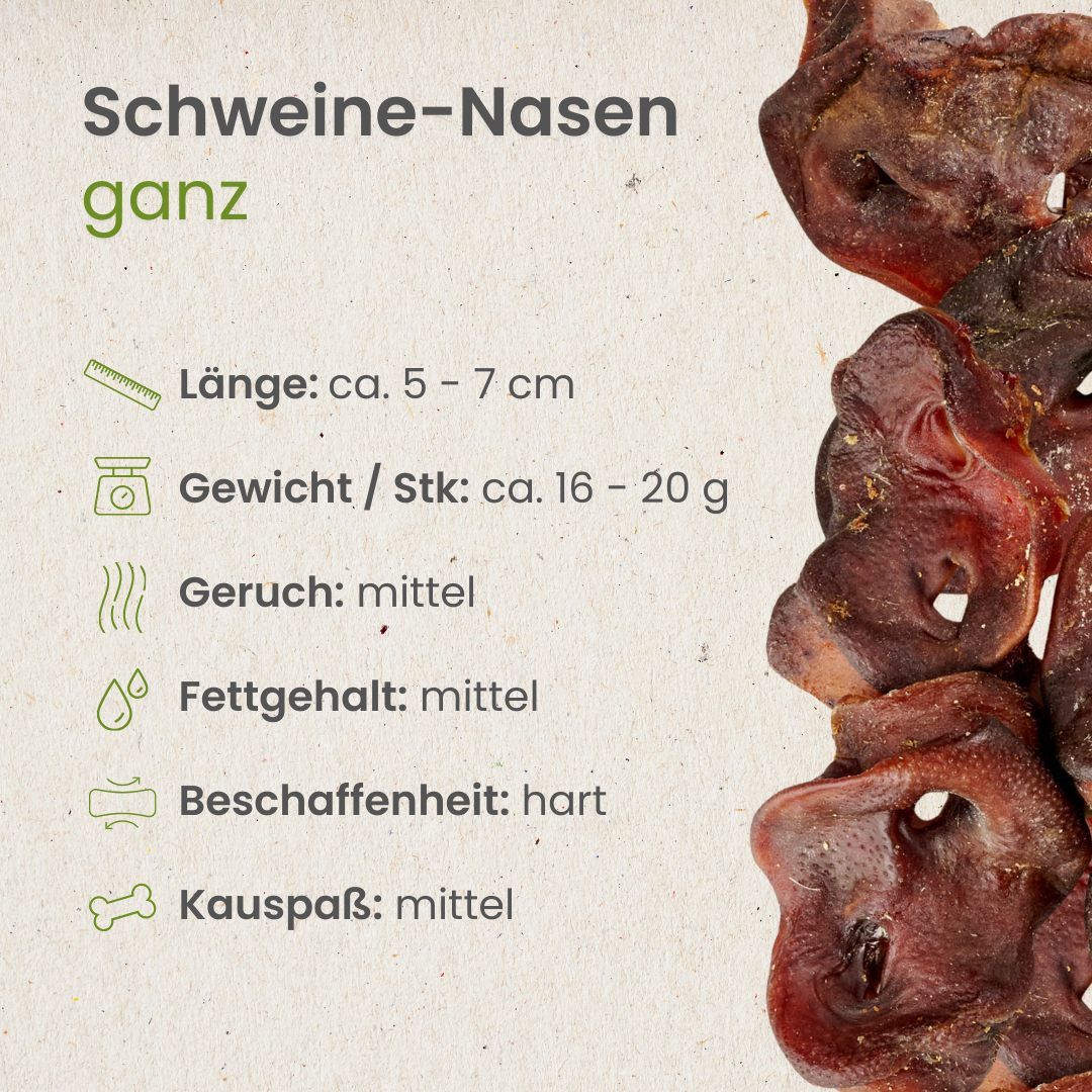 Textgrafik 'Warum Kauartikel wichtig sind' mit Icons und Erklärungen zu Vorteilen für Hunde.
