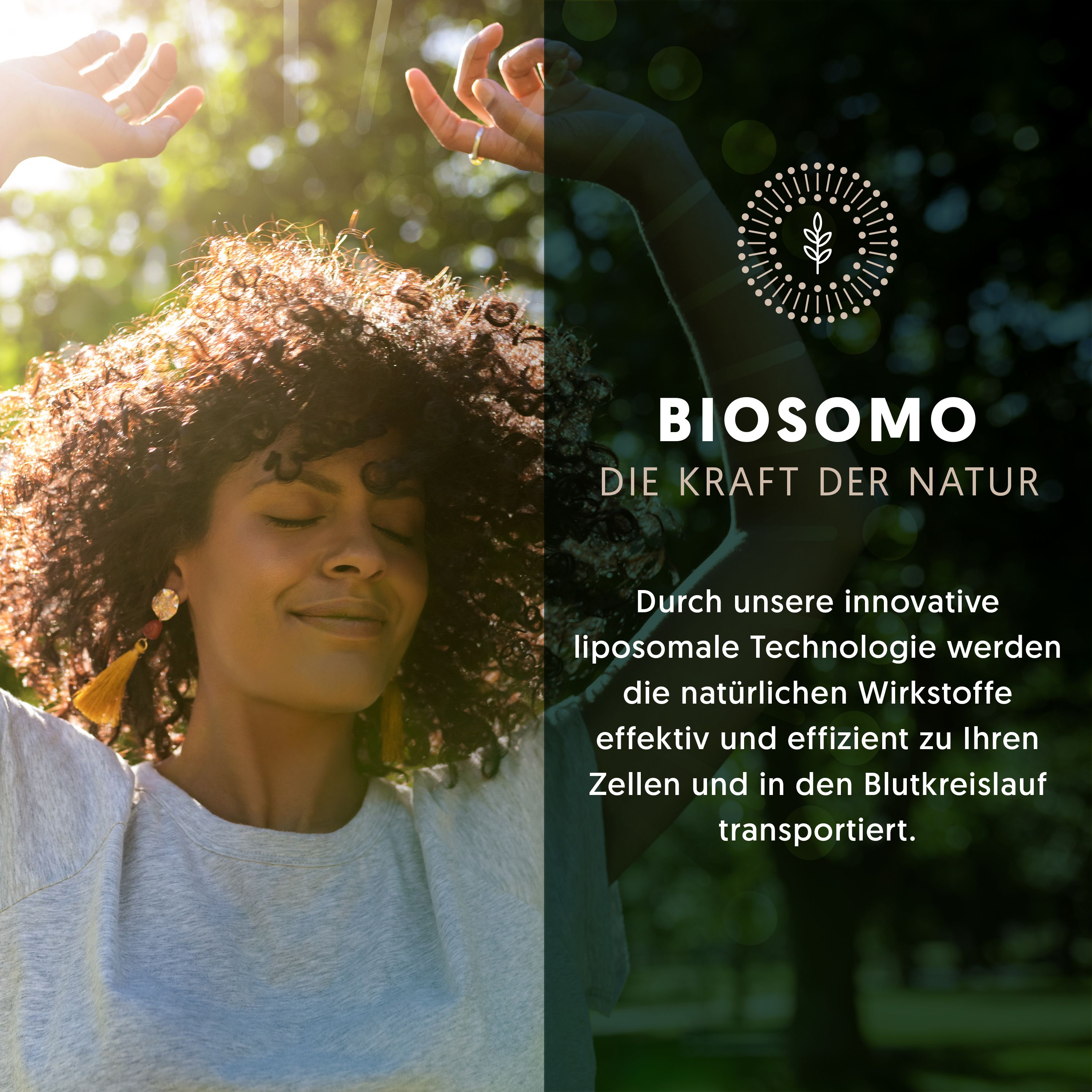 BIOSOMO hochkonzentriertes Boswellia Serrata-Extrakt